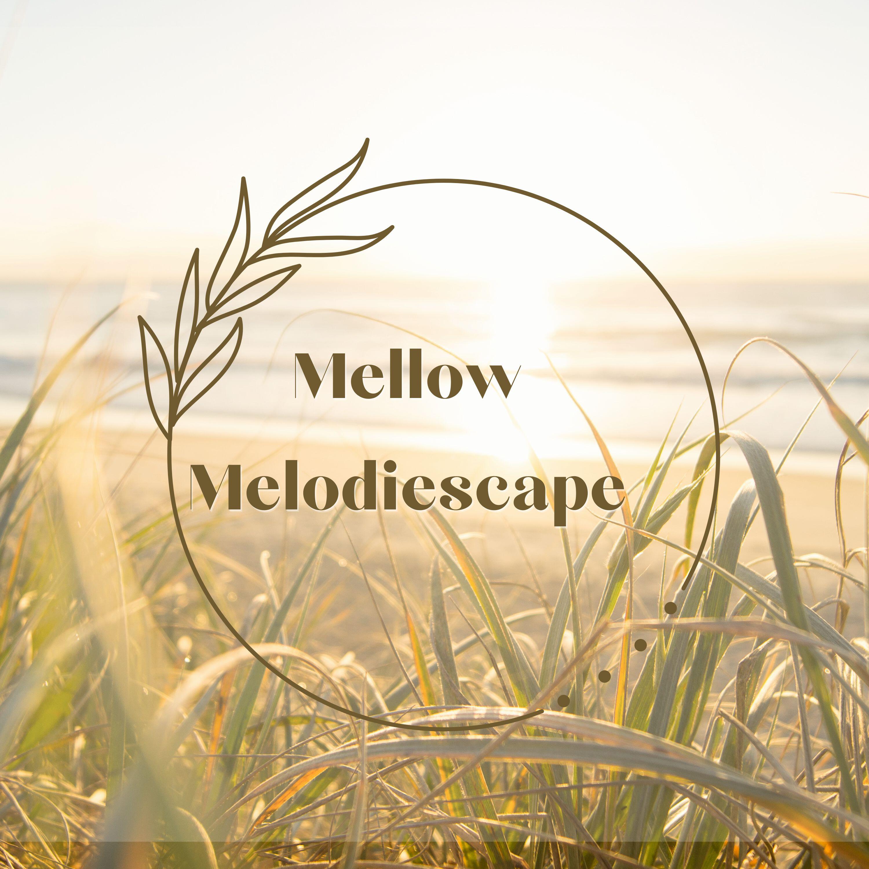 Релиз Mellow Melodiescape