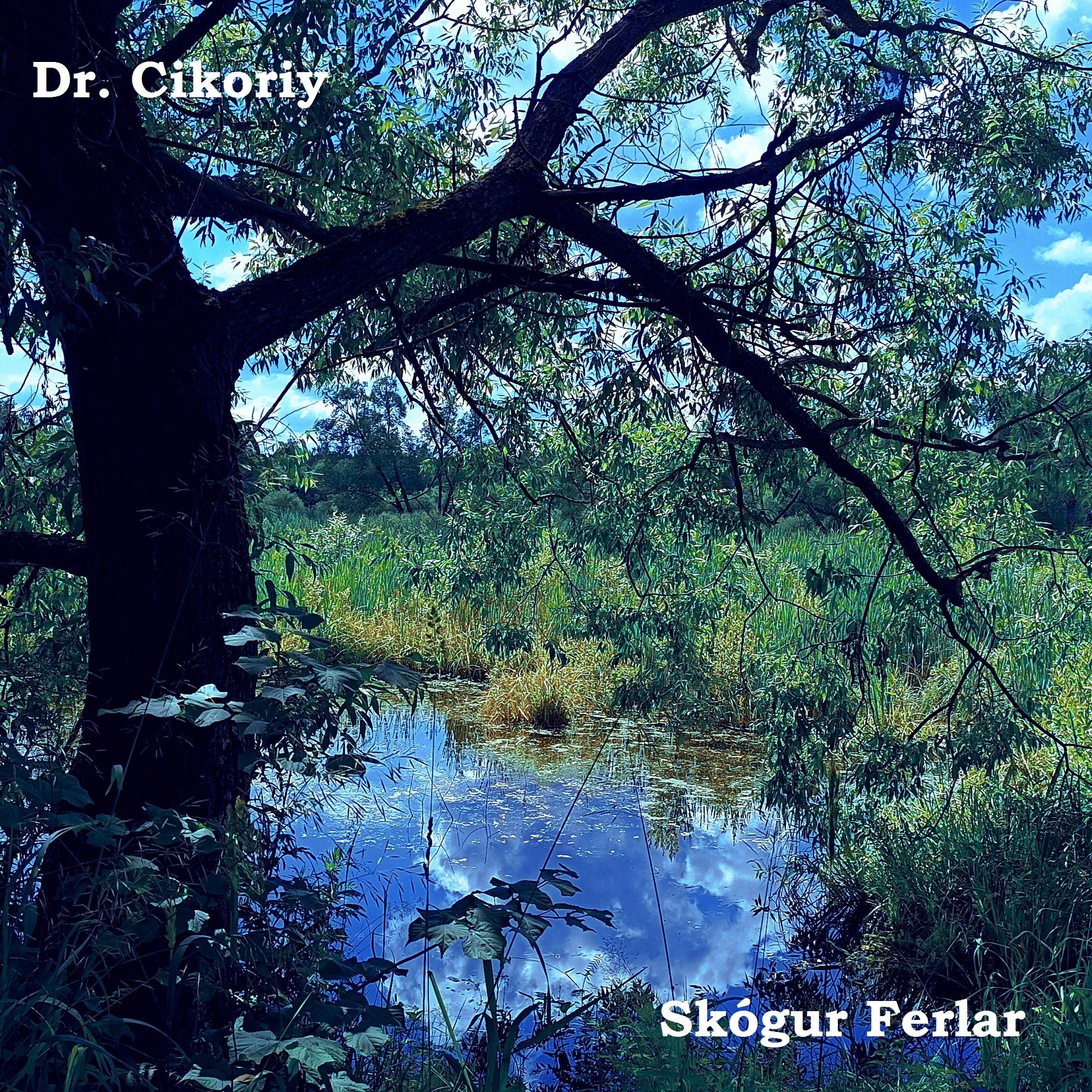 Релиз Skógur Ferlar