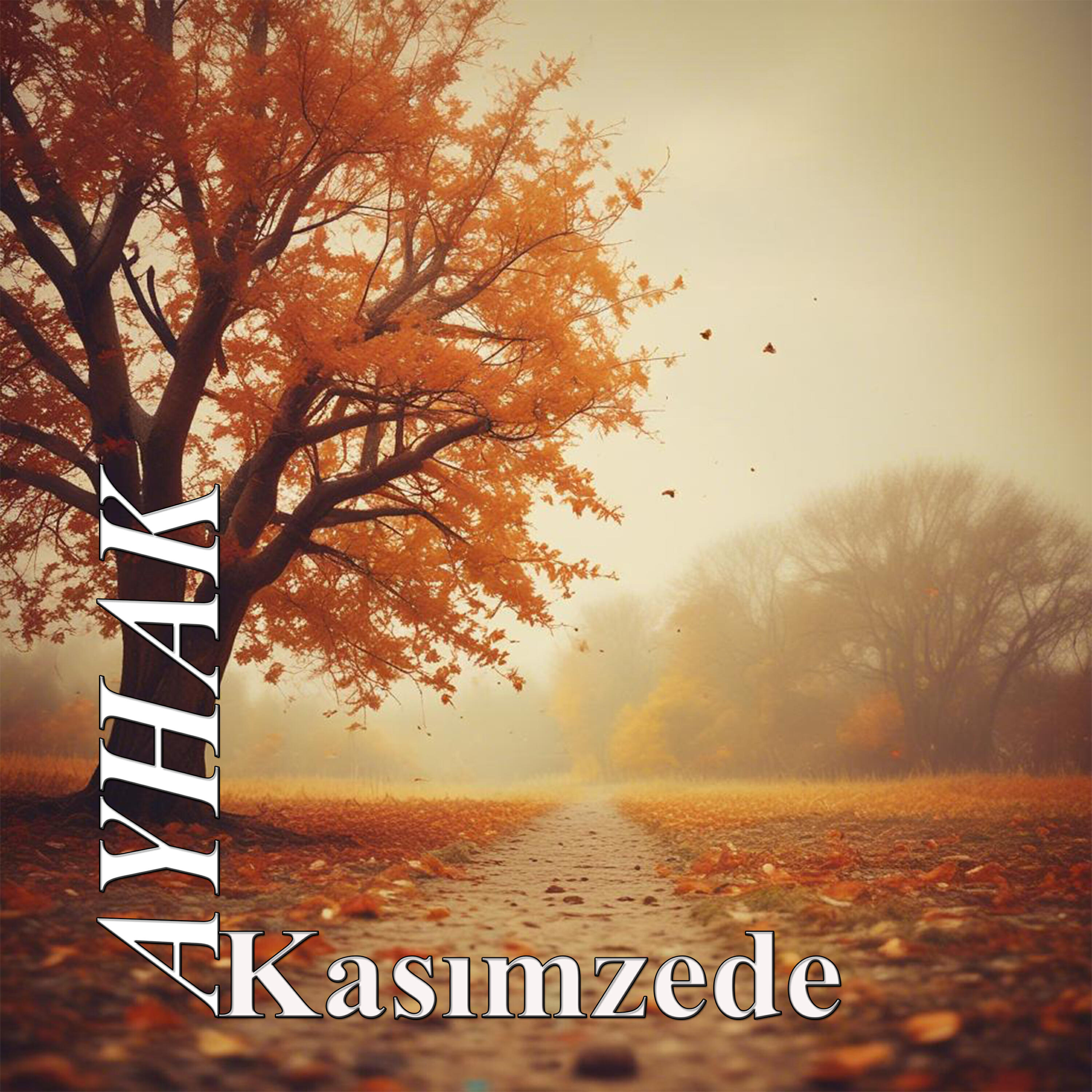 Релиз KASIMZEDE