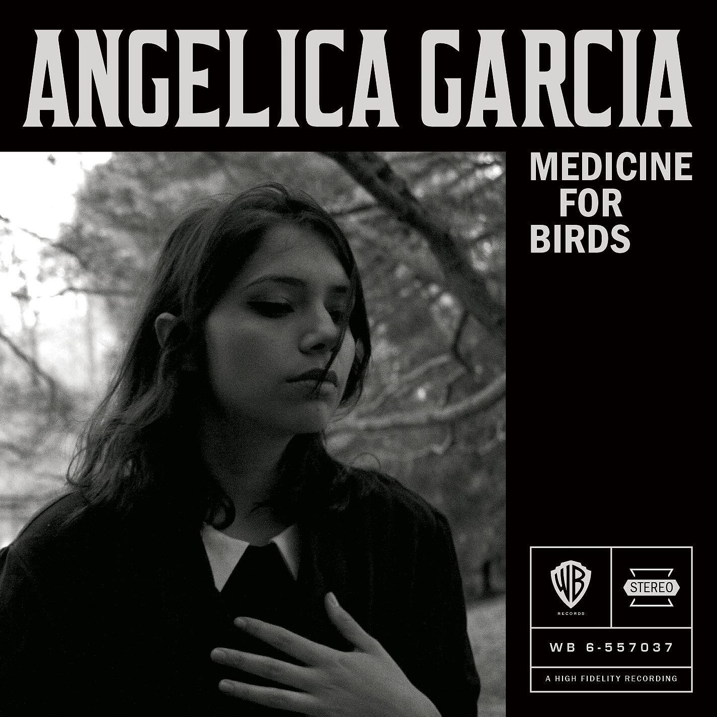 Релиз Medicine for Birds