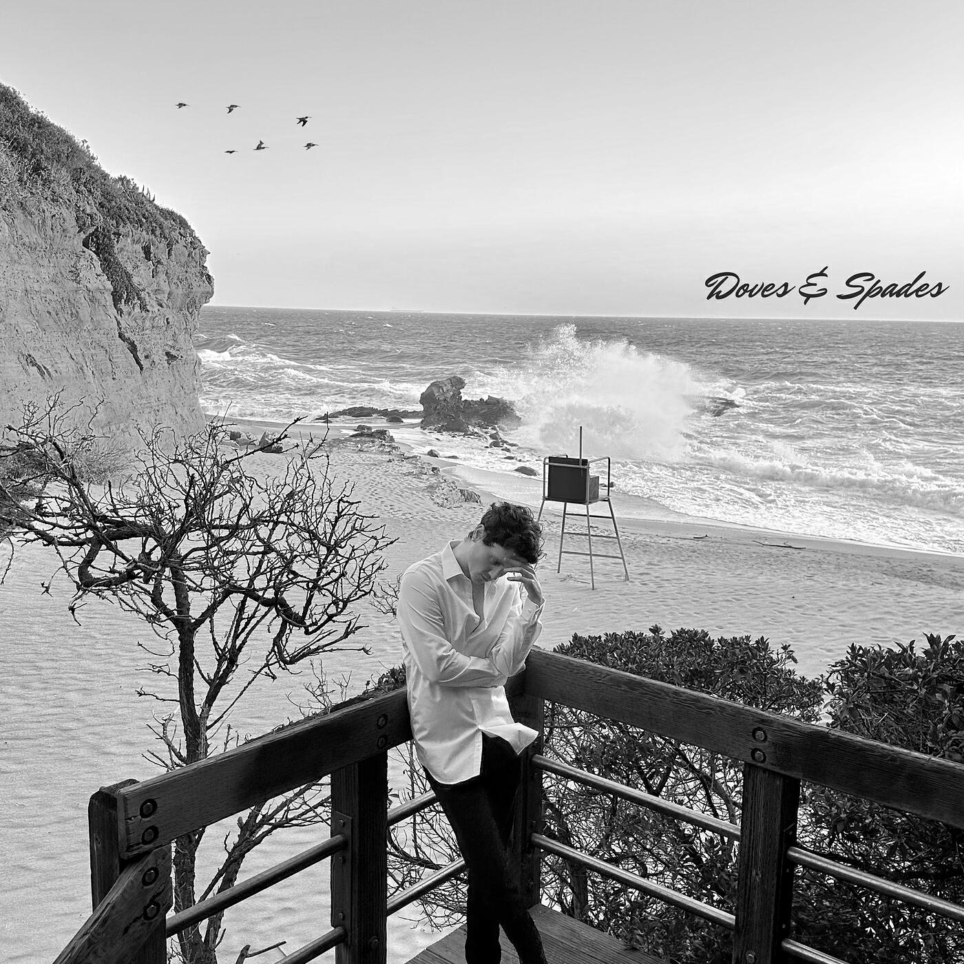 Релиз Doves & Spades