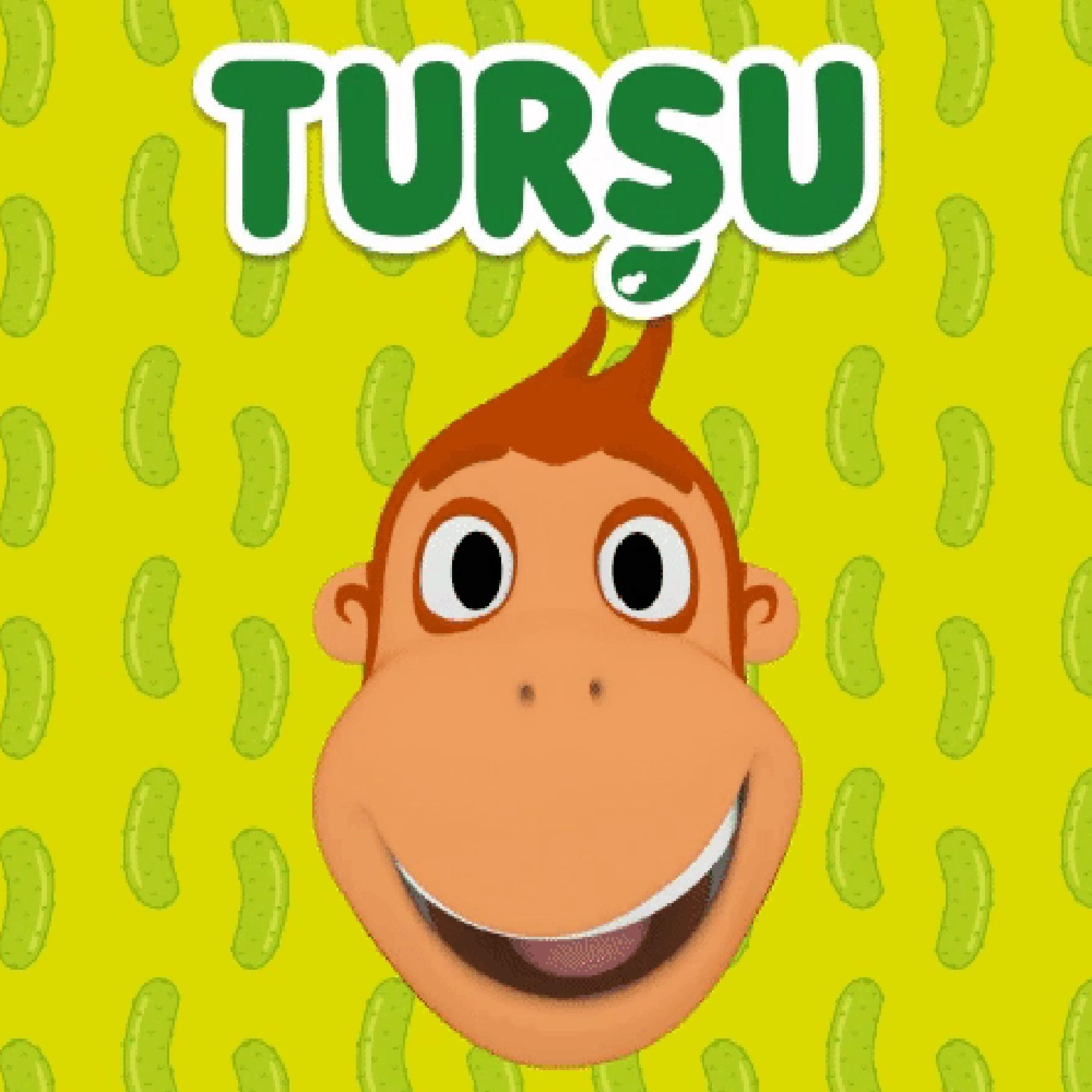 Релиз Turşu