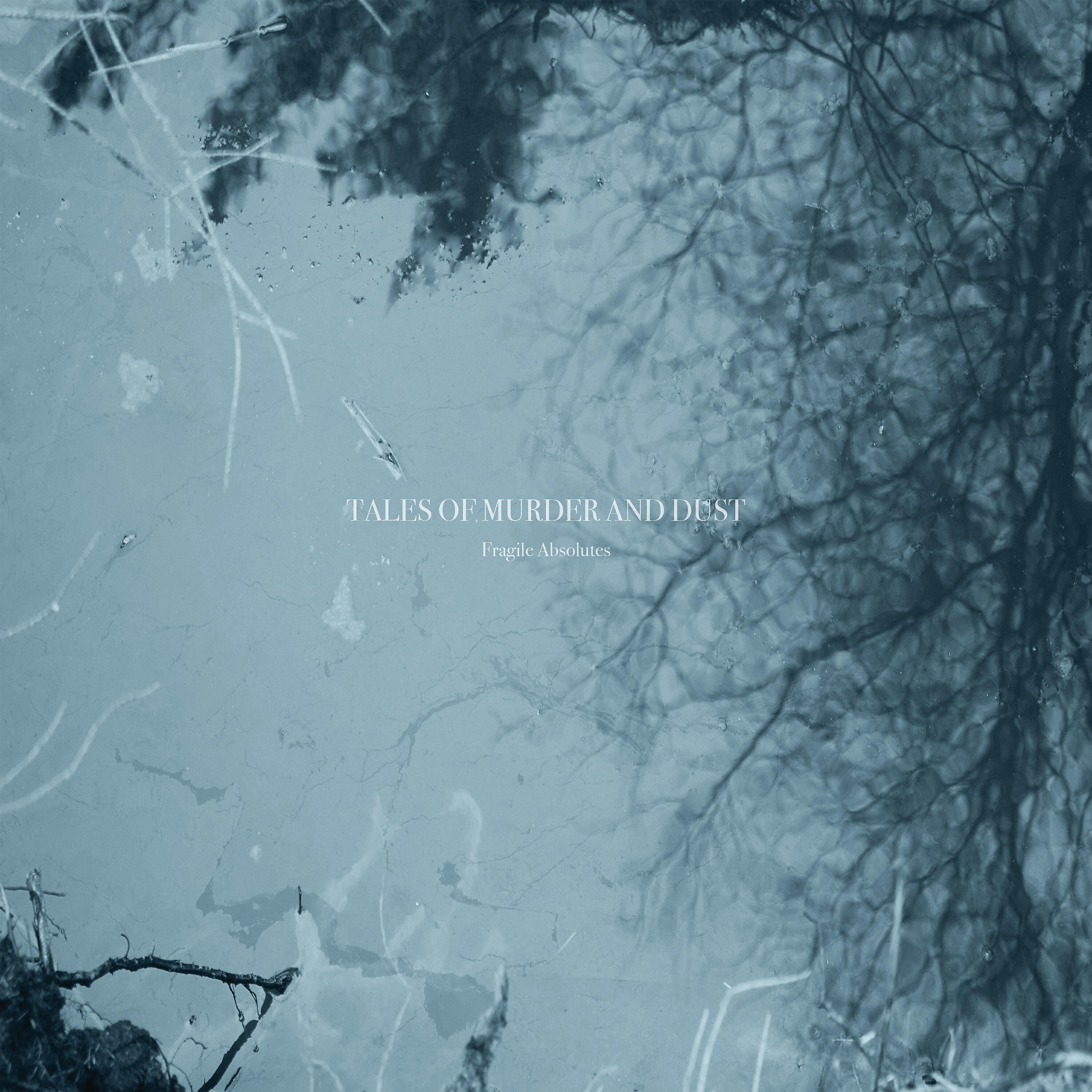 Релиз Fragile Absolutes
