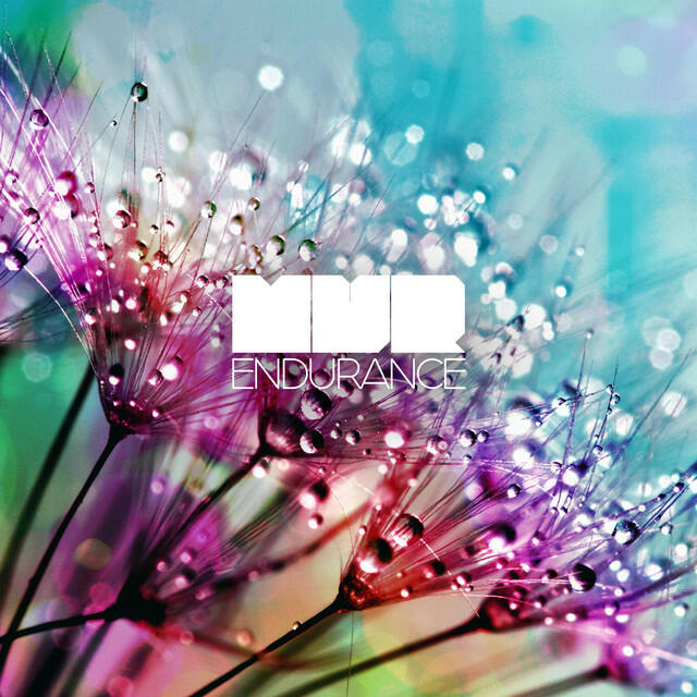 Релиз Endurance