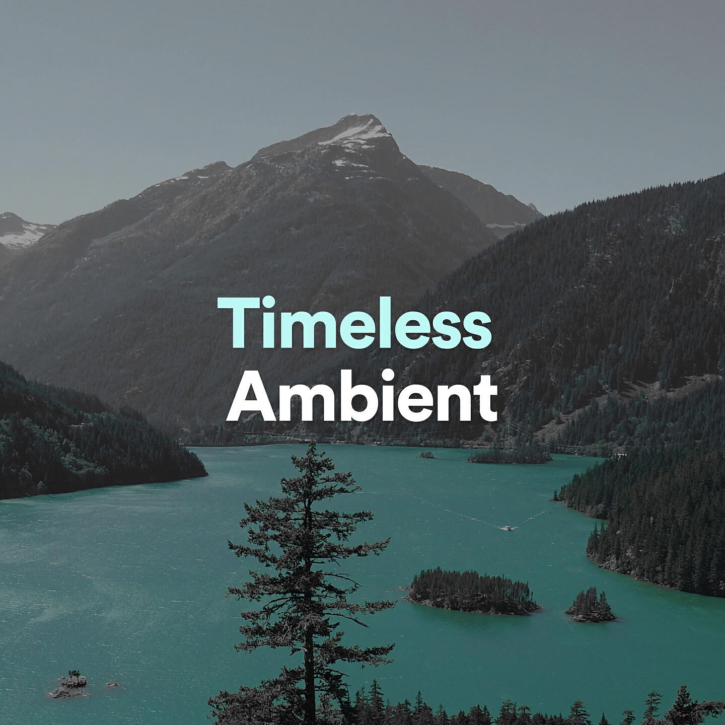 Релиз Timeless Ambient