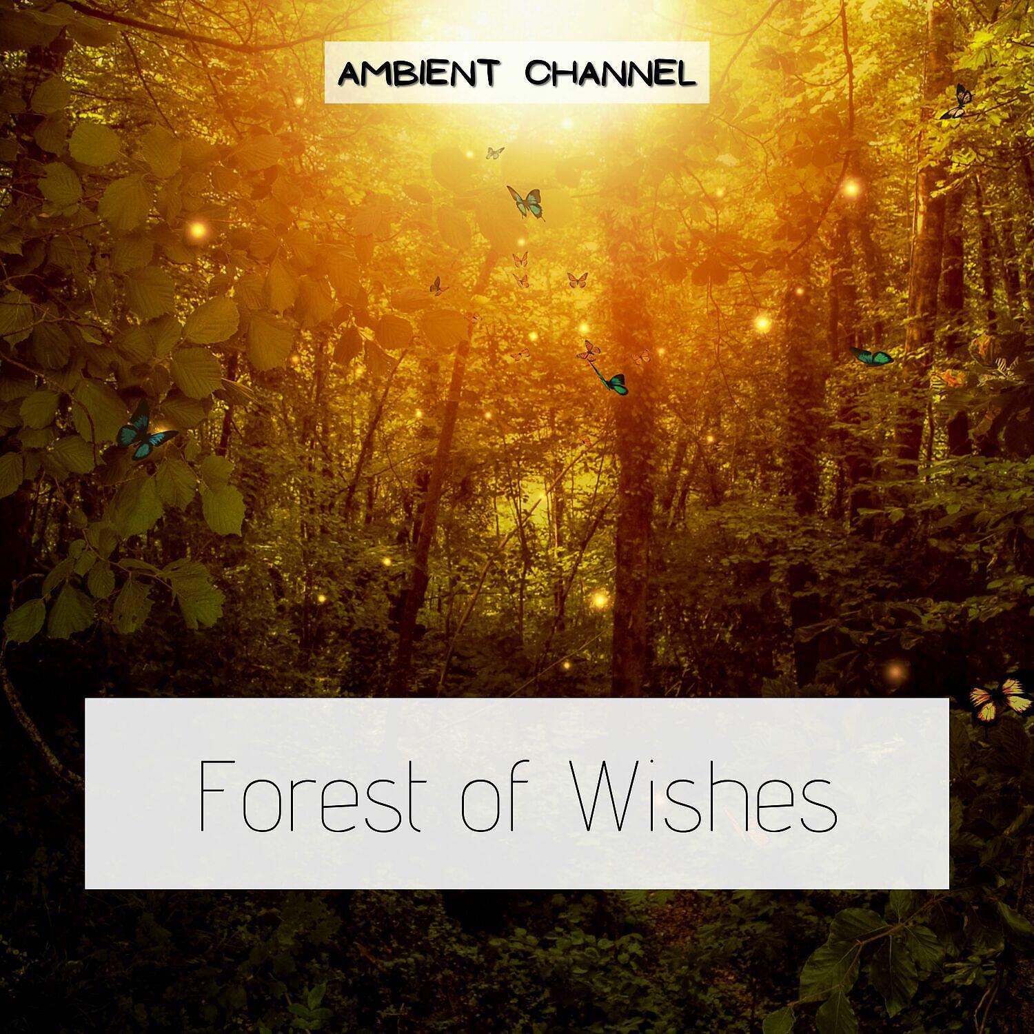 Релиз Forest of Wishes (Chillout, Ambient, Piano)