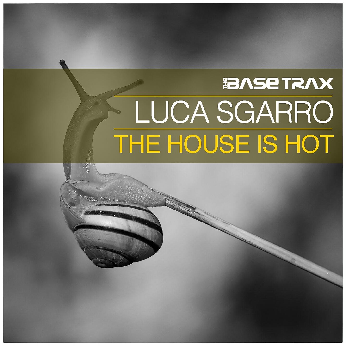 Релиз The House Is Hot