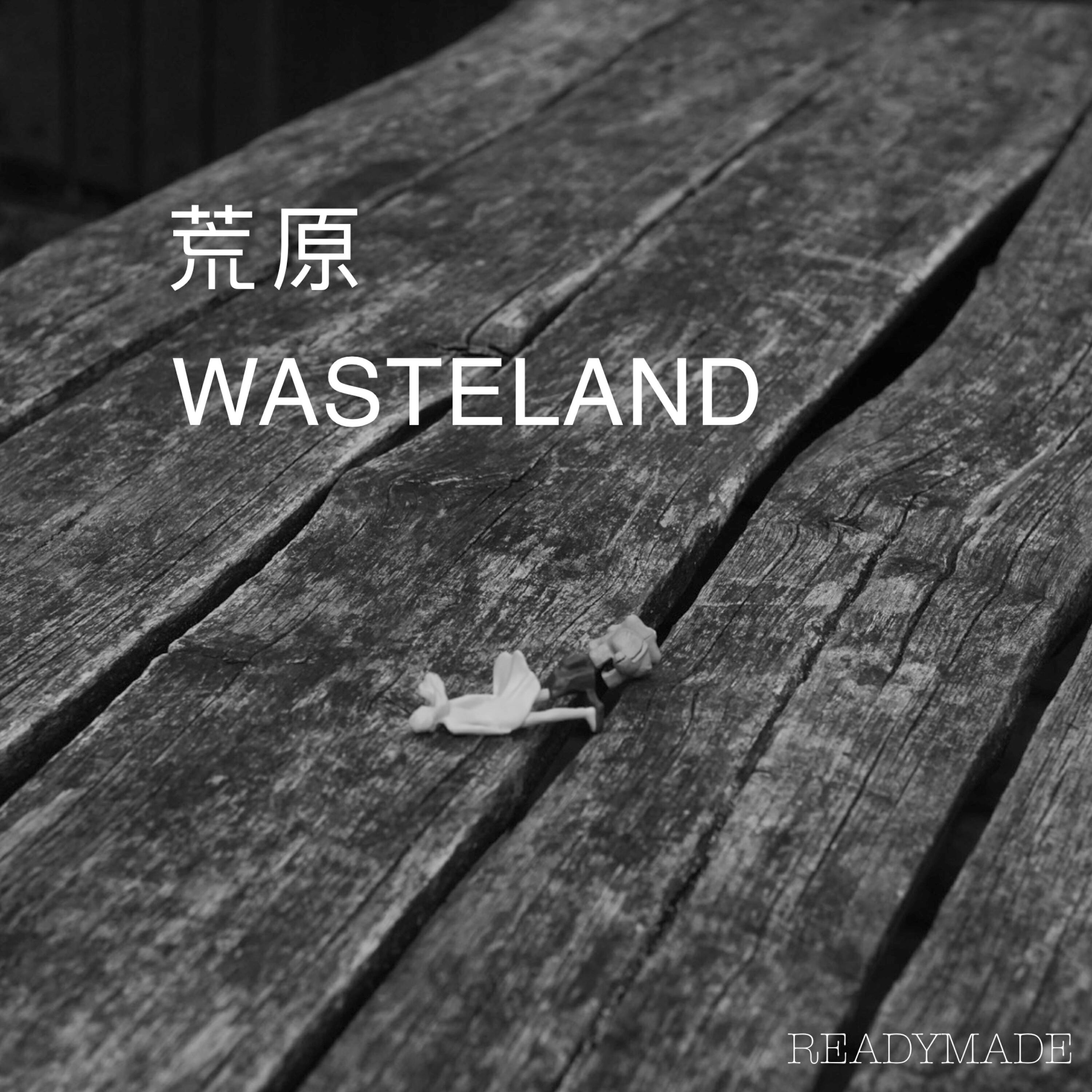 Релиз Wasteland 荒原