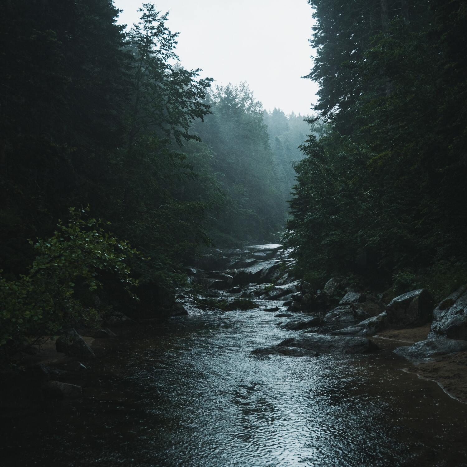 Релиз White Noise to Recline and Sleep