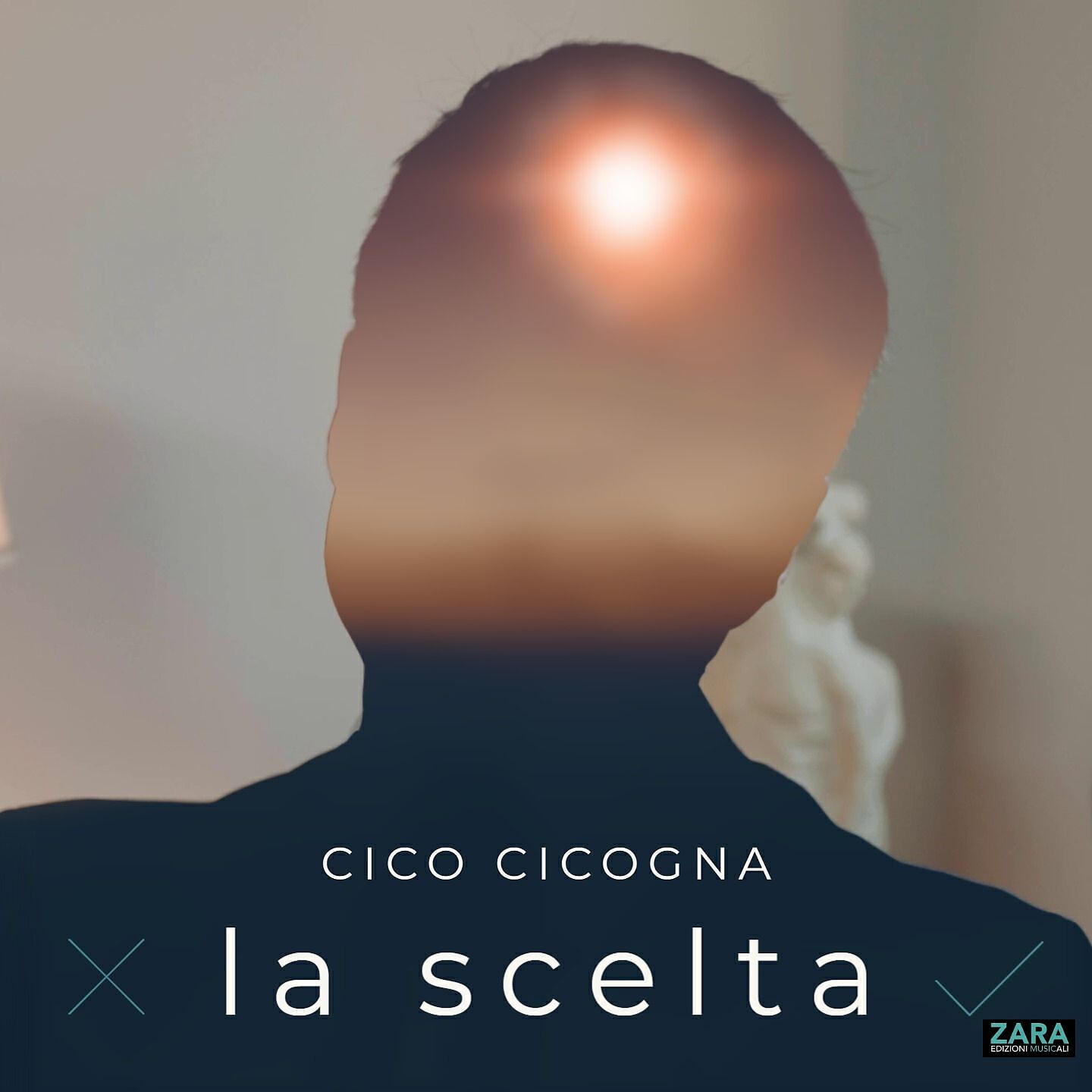 Cico Cicogna