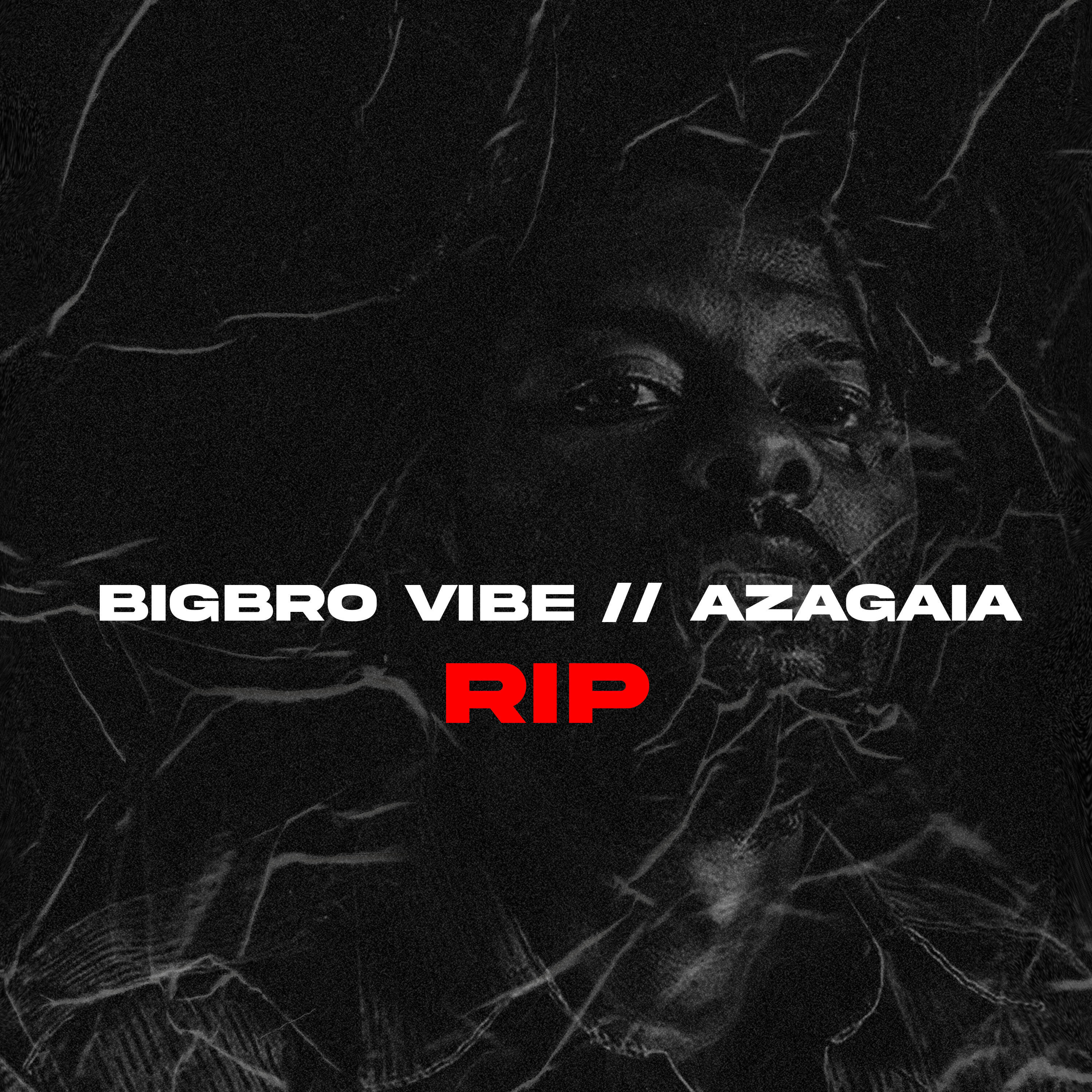 Релиз Rip