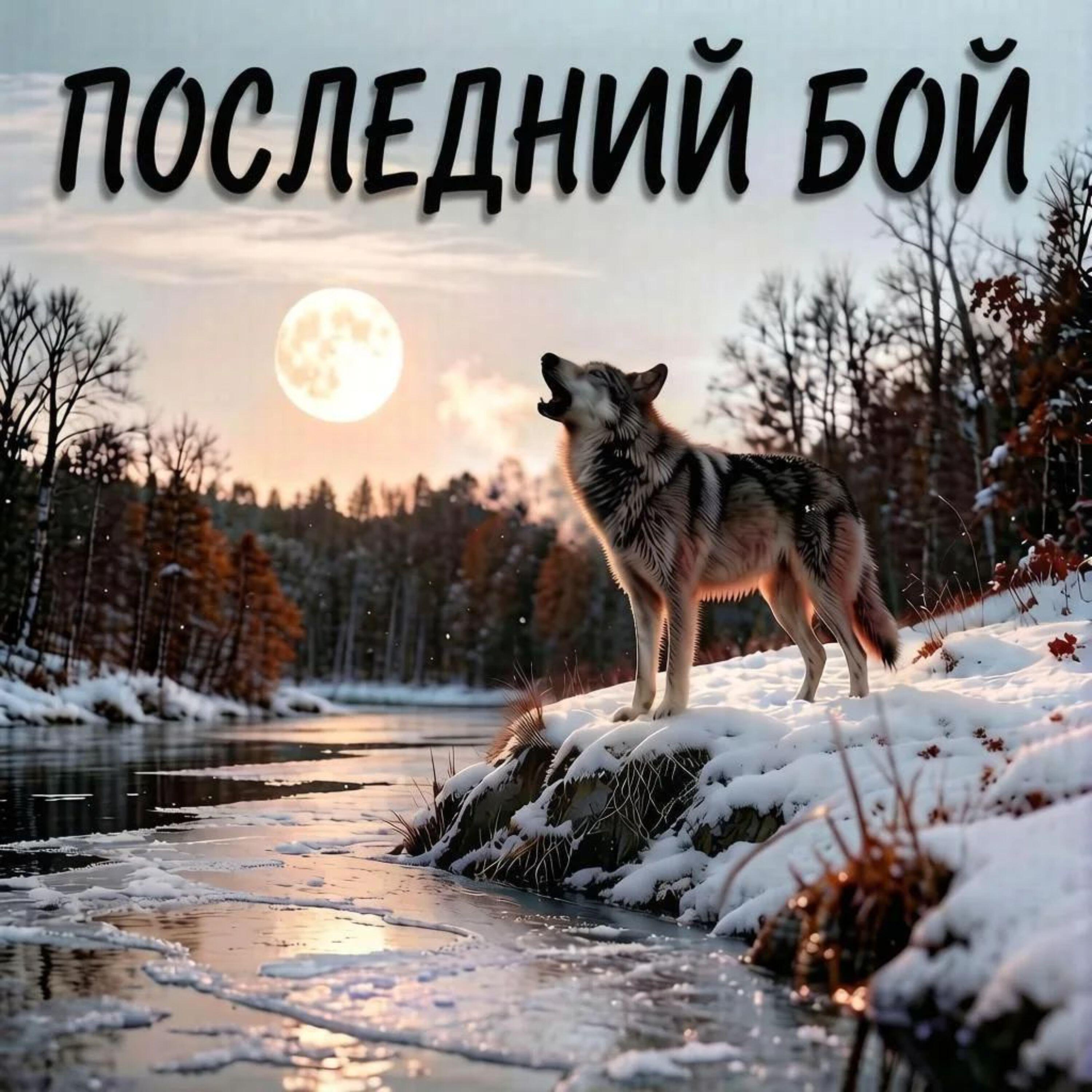 Релиз Последний бой