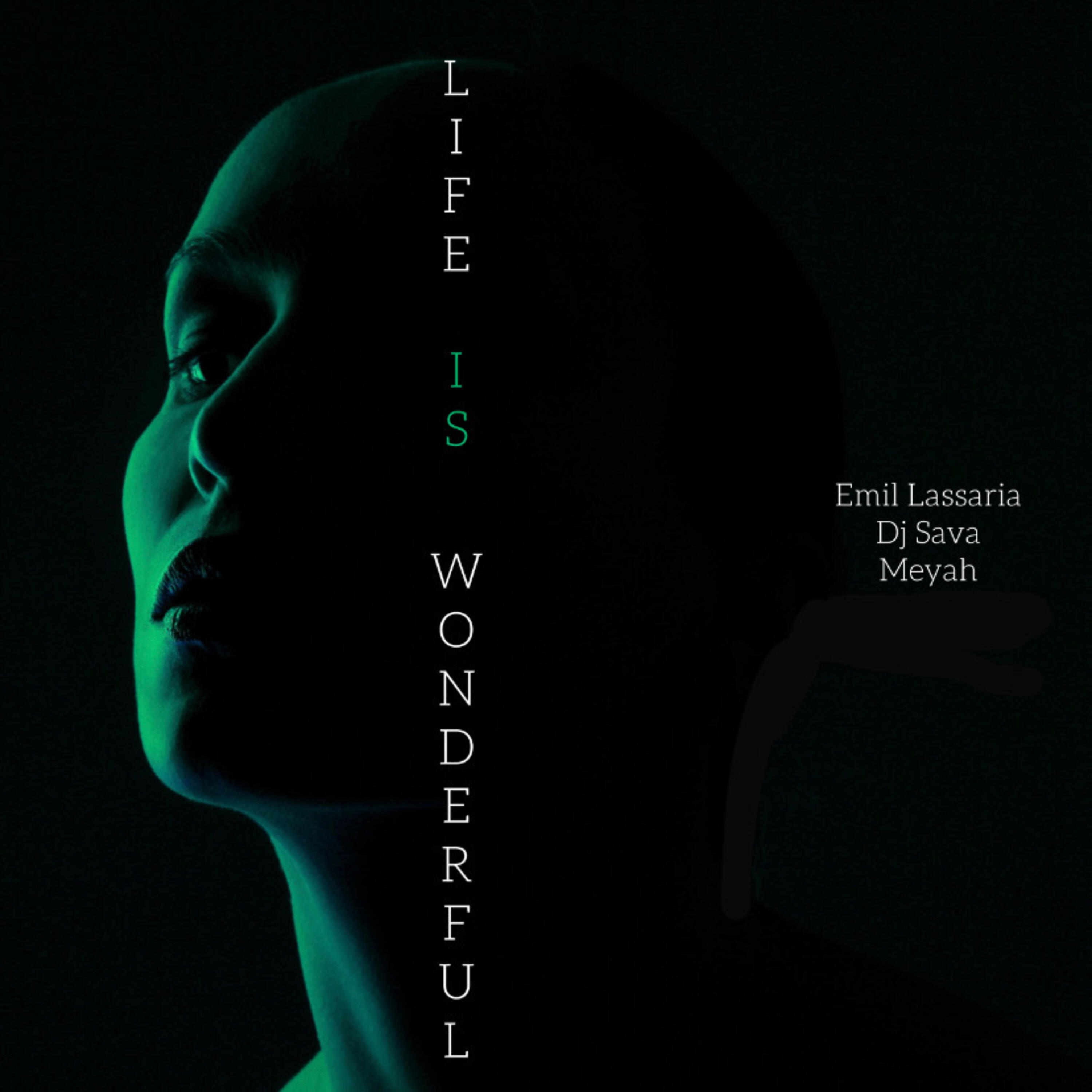 Релиз Life Is Wonderful