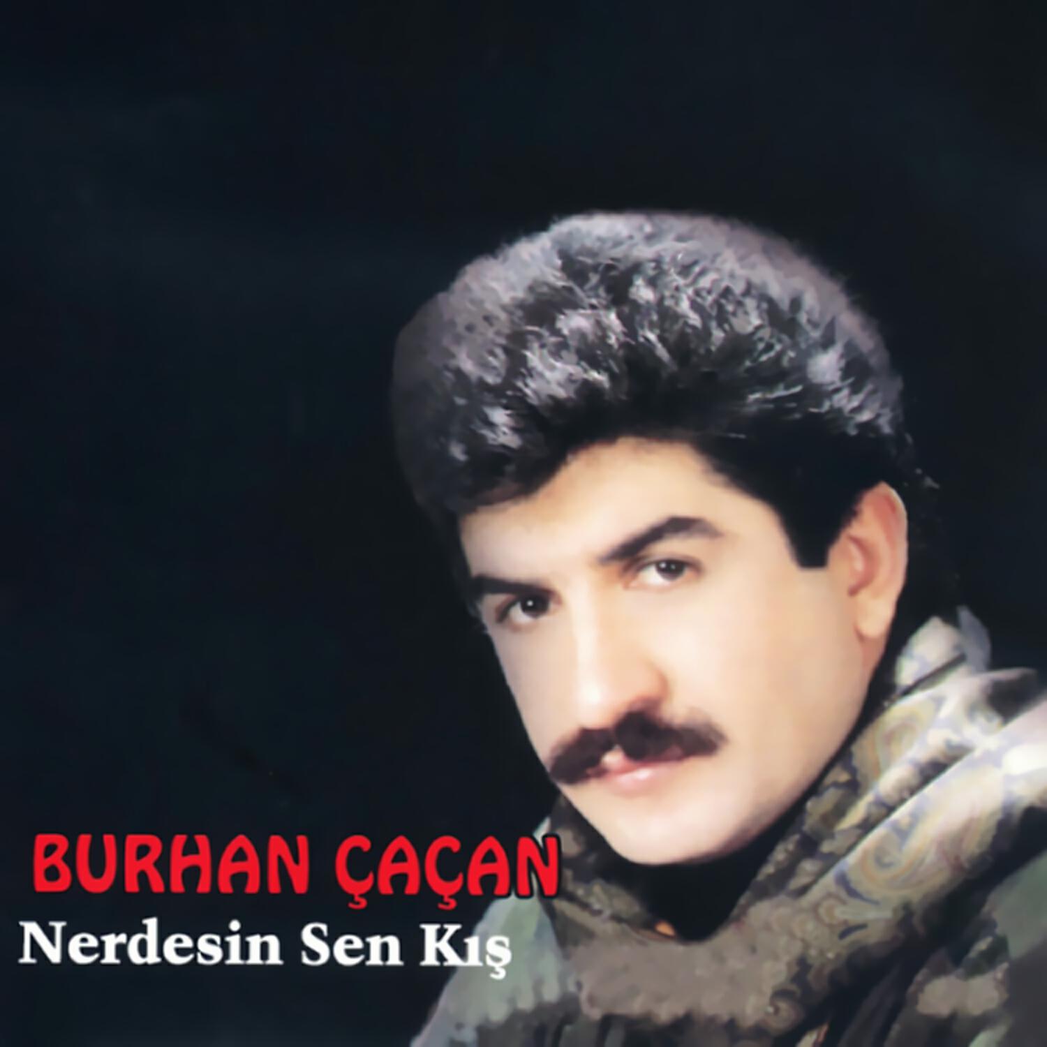 Релиз Sen Nerdesin - Kış