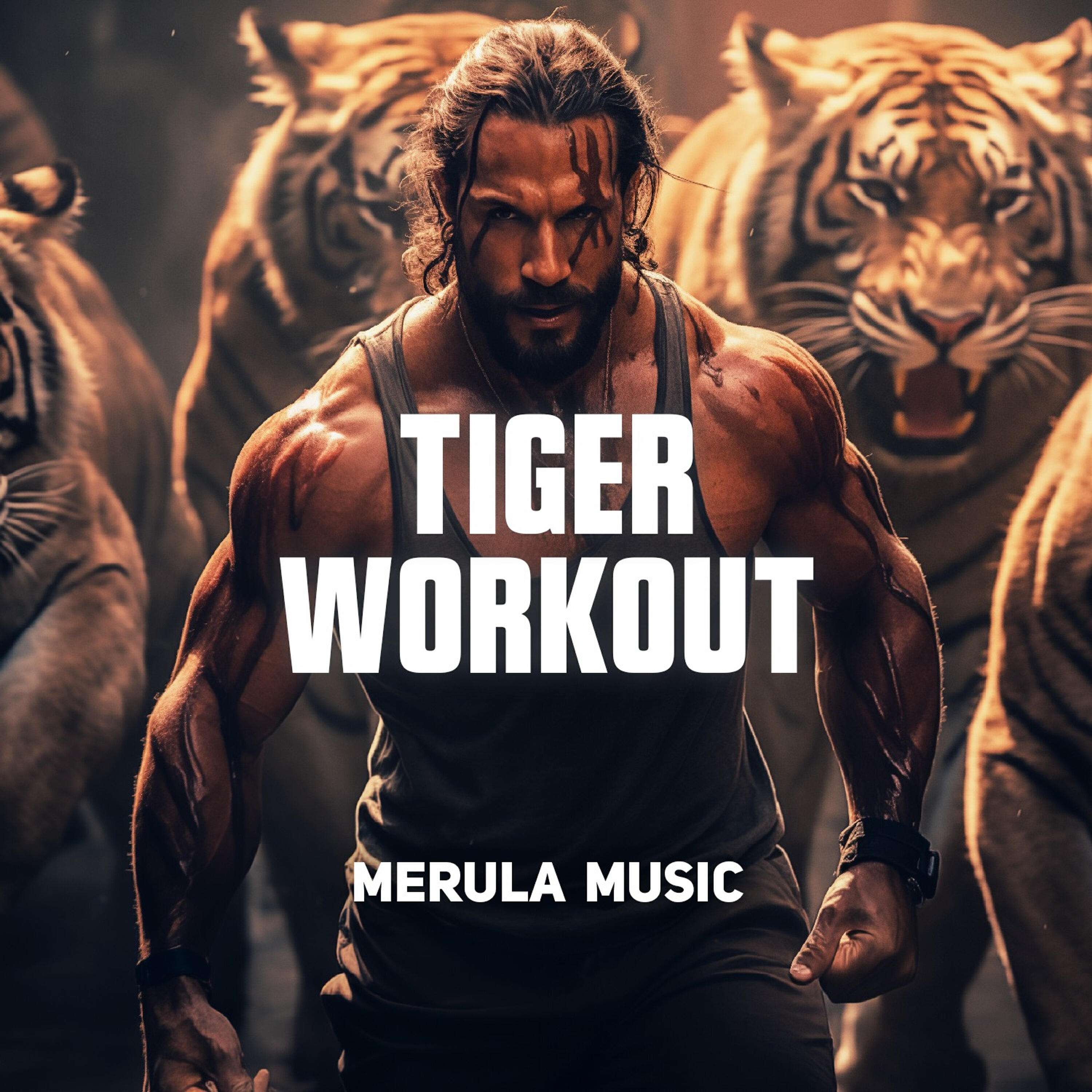Релиз Tiger Workout