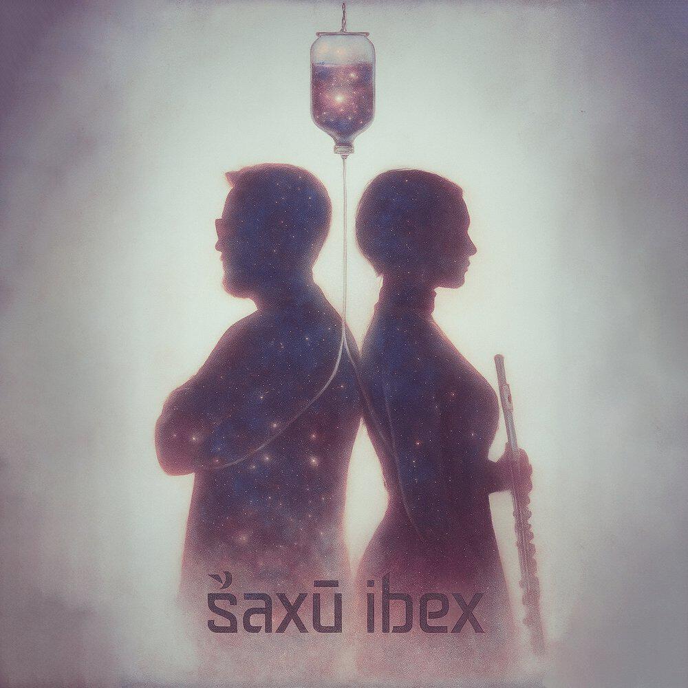 Saxu Ibex