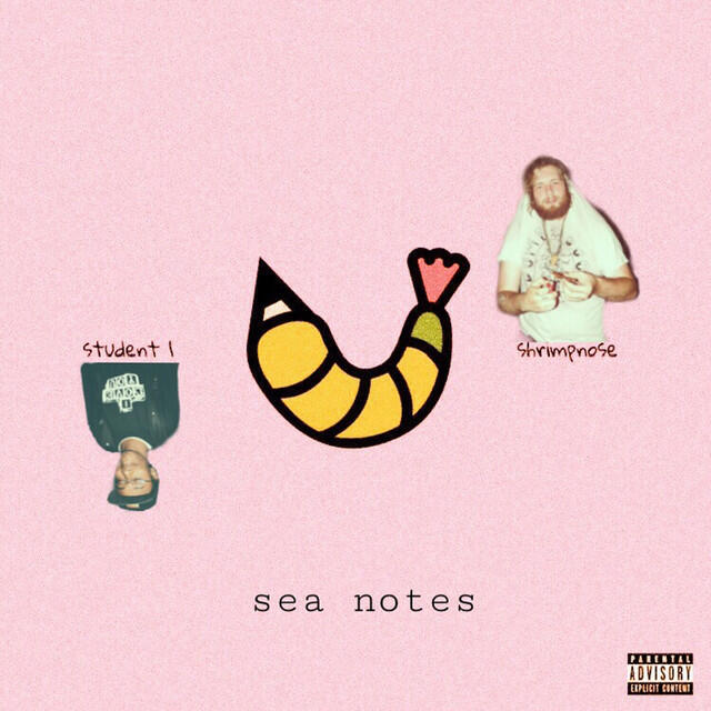 Релиз Sea Notes