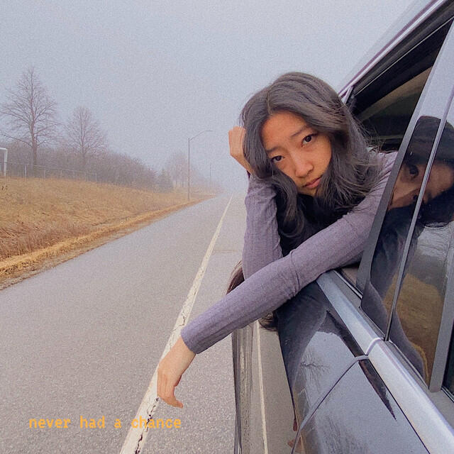 Релиз Never Had a Chance