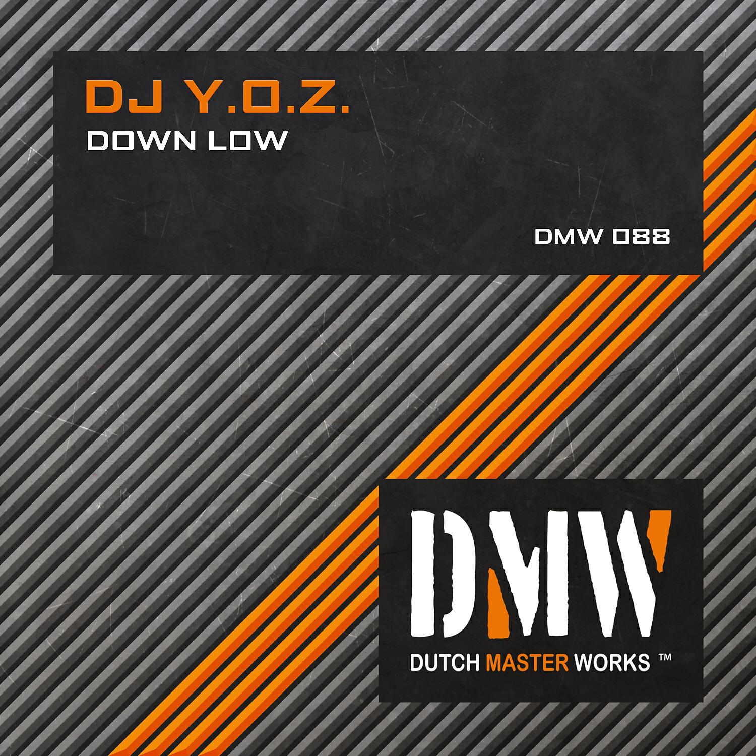 Релиз Down Low