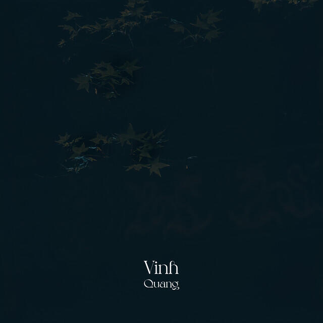 Релиз Vinh Quang
