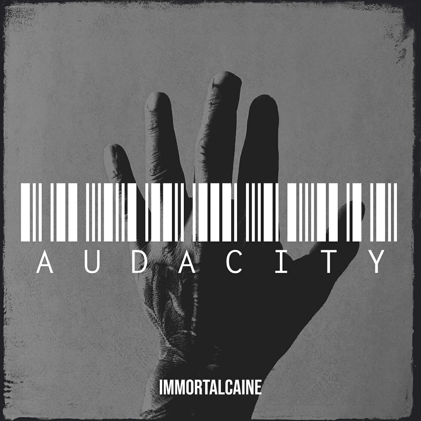 Релиз Audacity