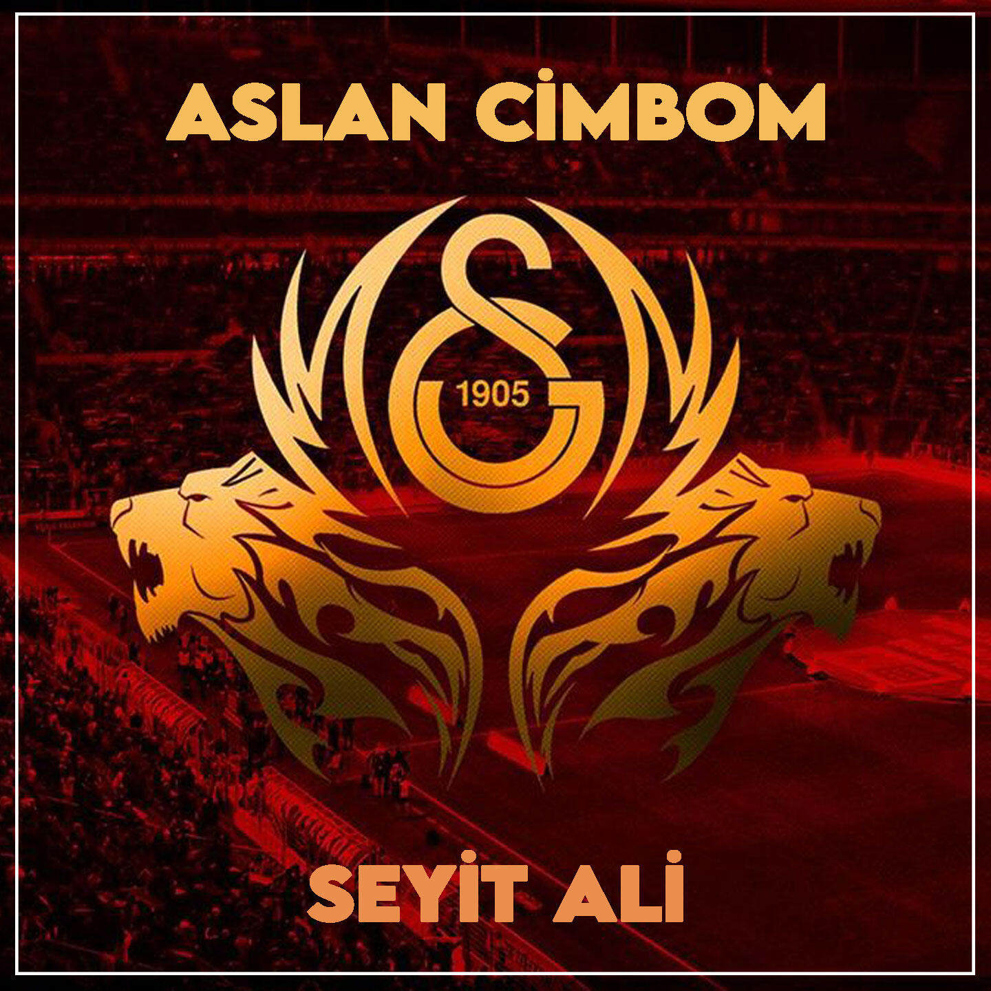 Seyit Ali