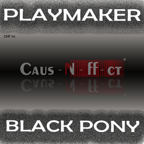 Постер альбома Black Pony