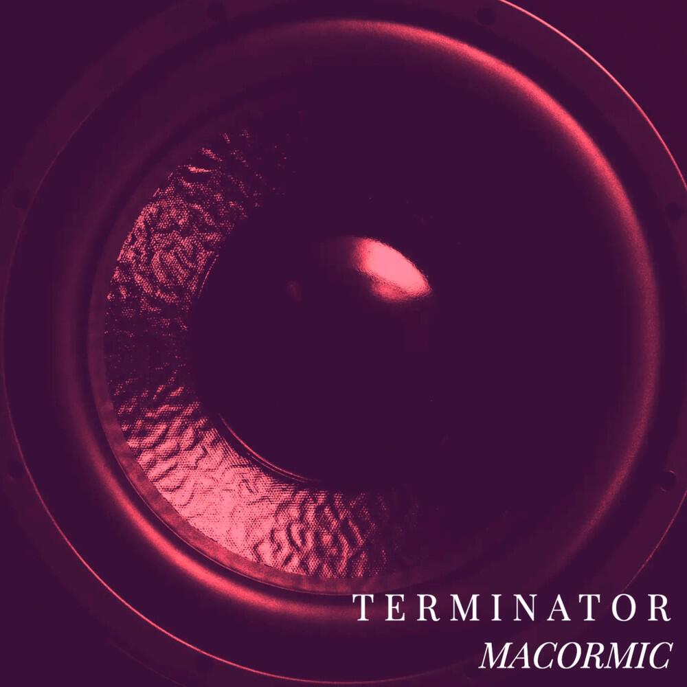 Релиз Terminator
