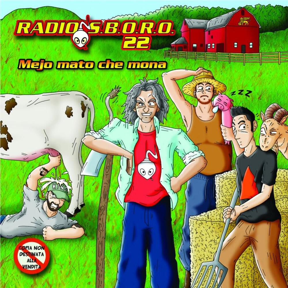 Релиз Radiosboro 22: Mejo mato che mona