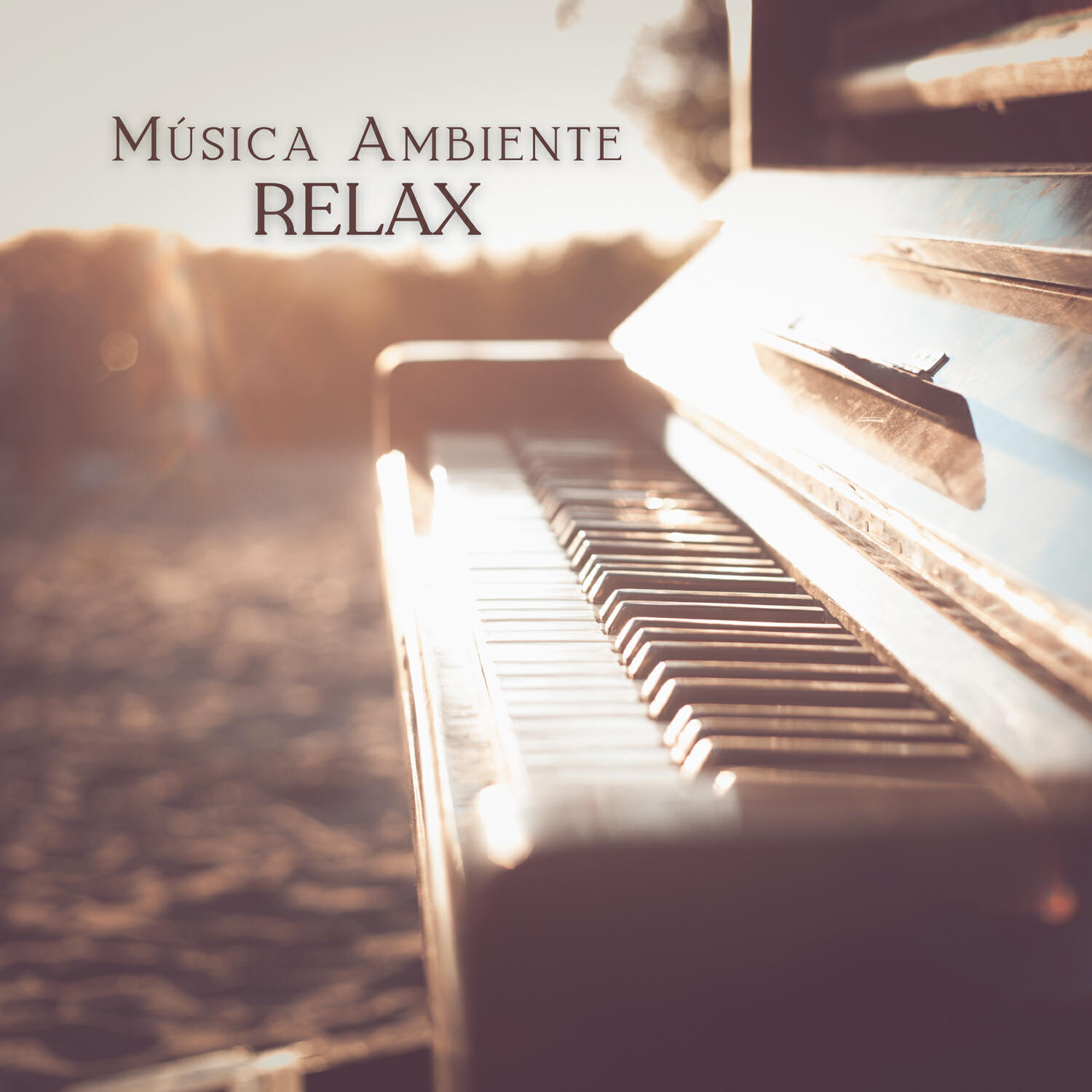 Релиз Música Ambiente: Relax