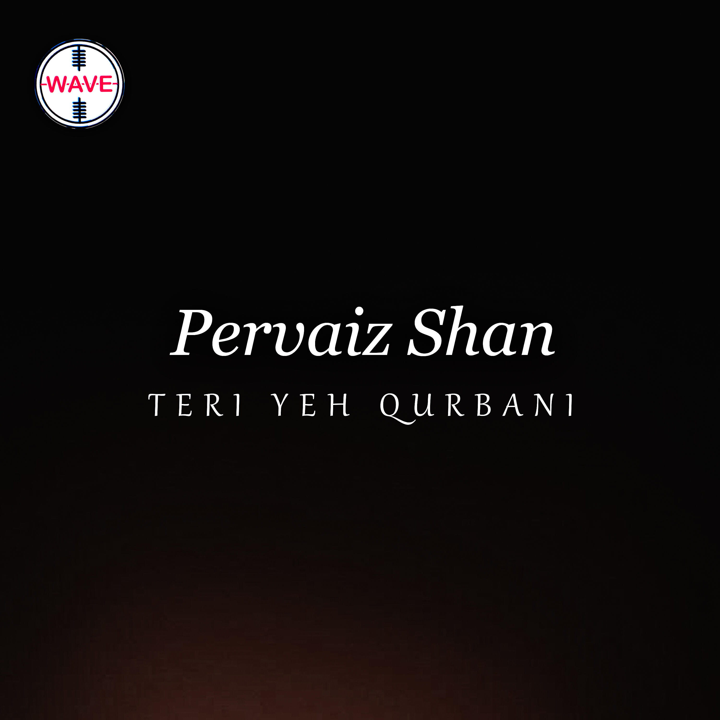 Релиз Teri Yeh Qurbani