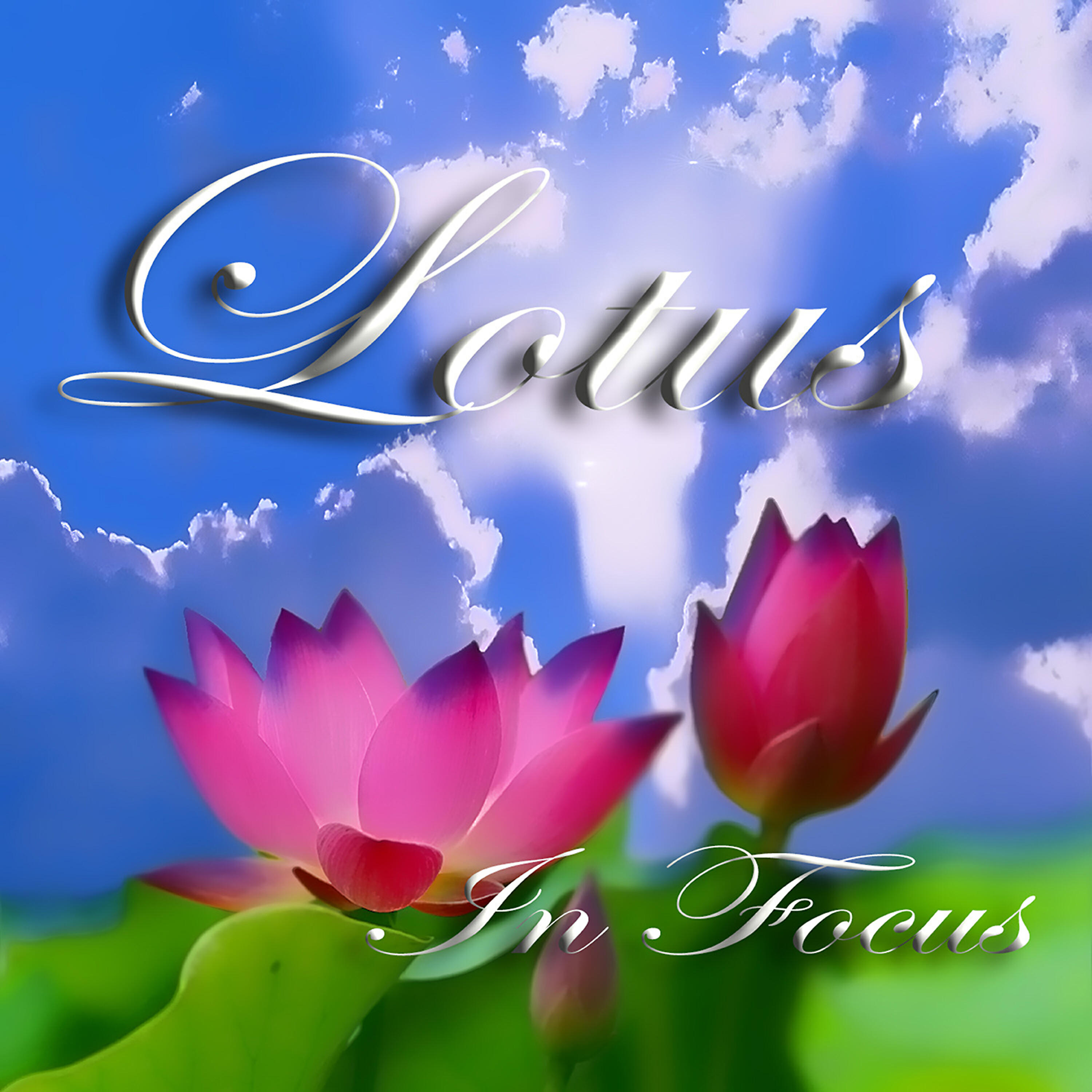 Релиз Lotus