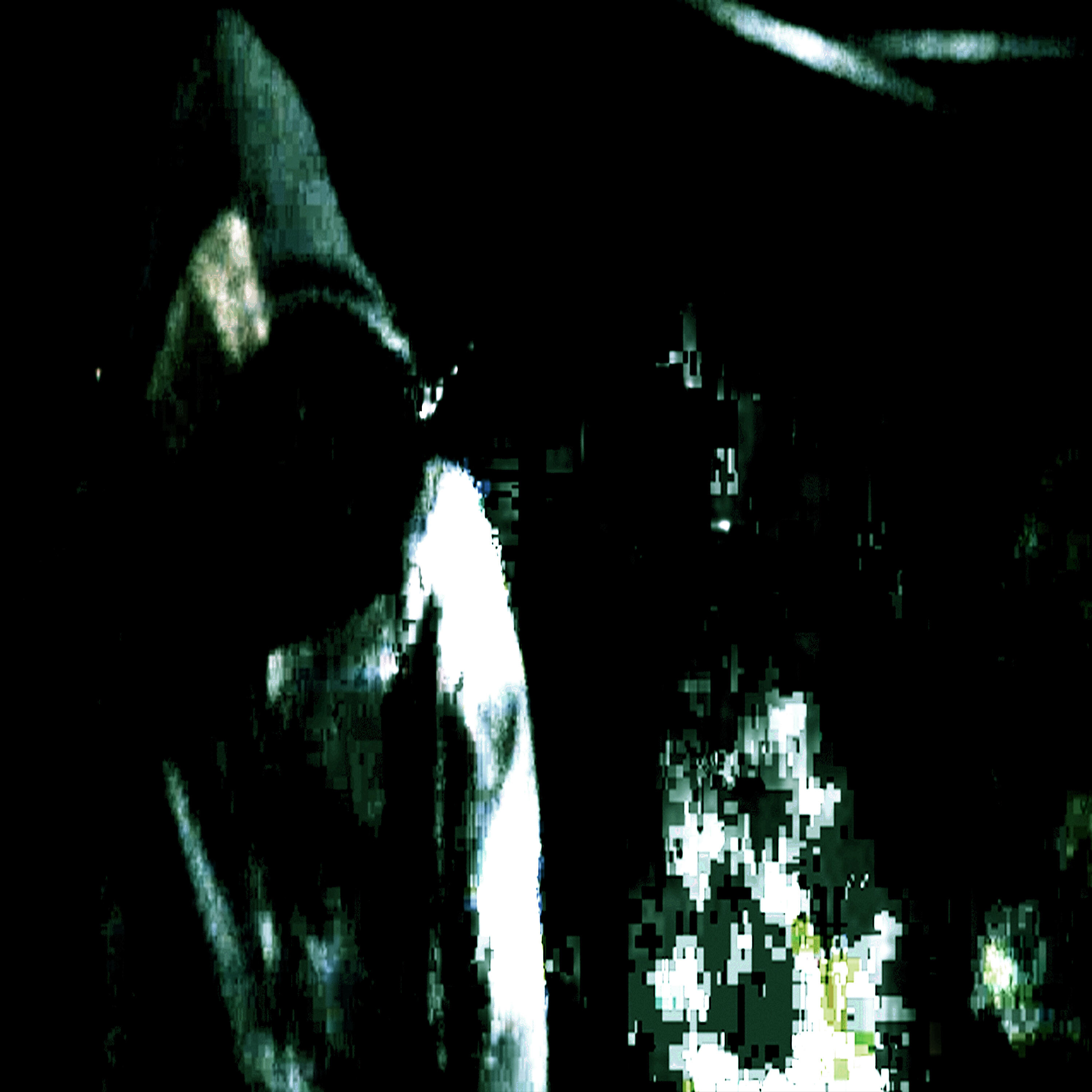 Релиз #ELECTRICCALLBOY