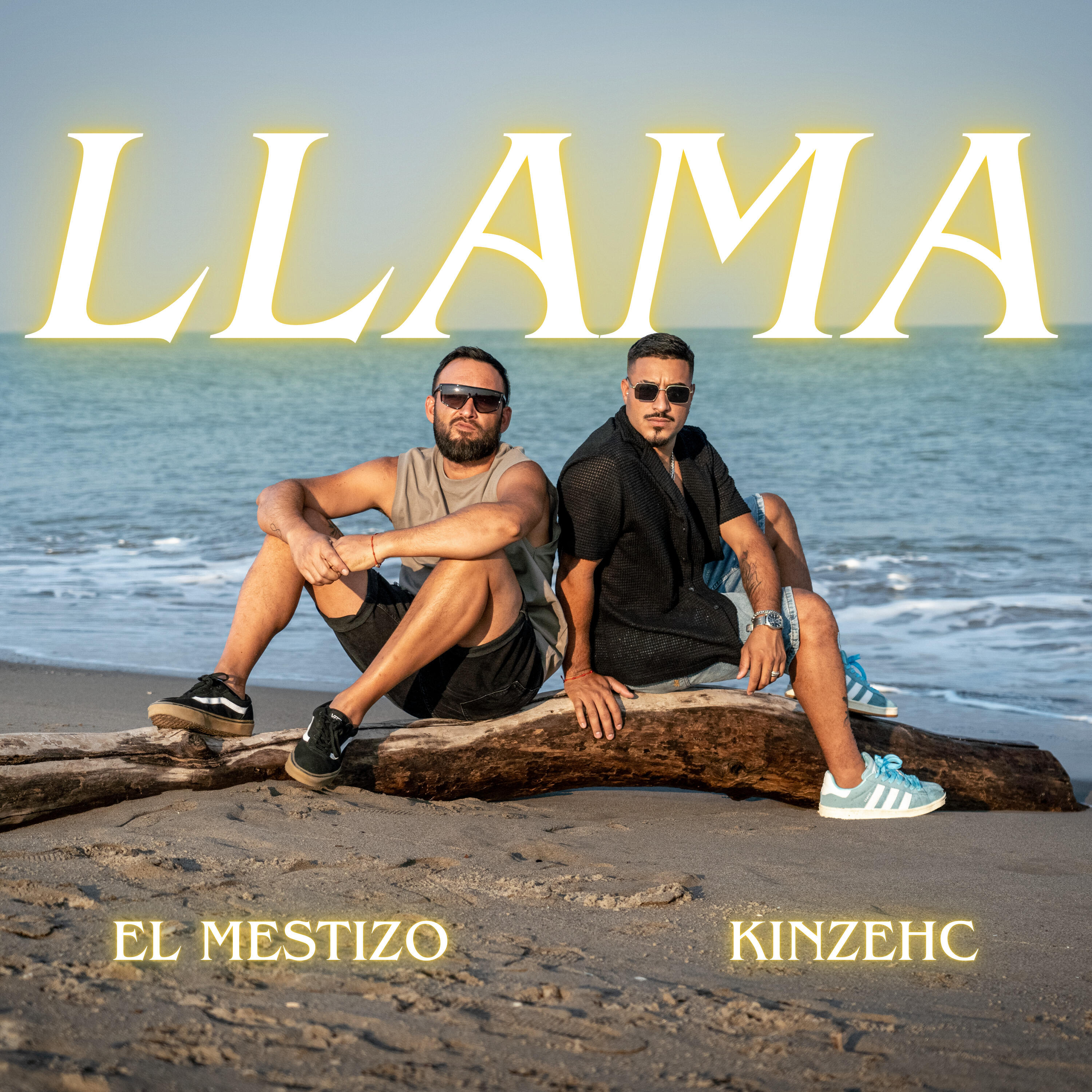 Релиз Llama