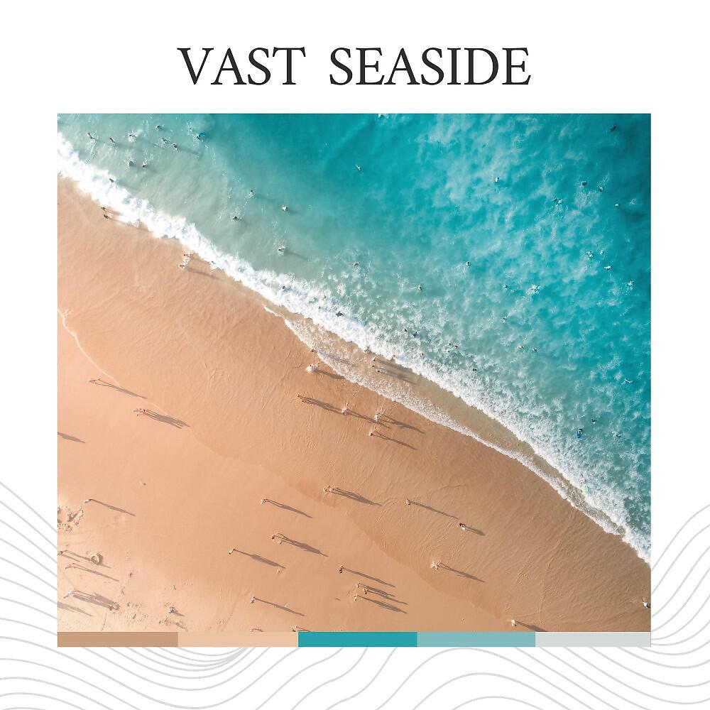 Постер альбома Vast Seaside