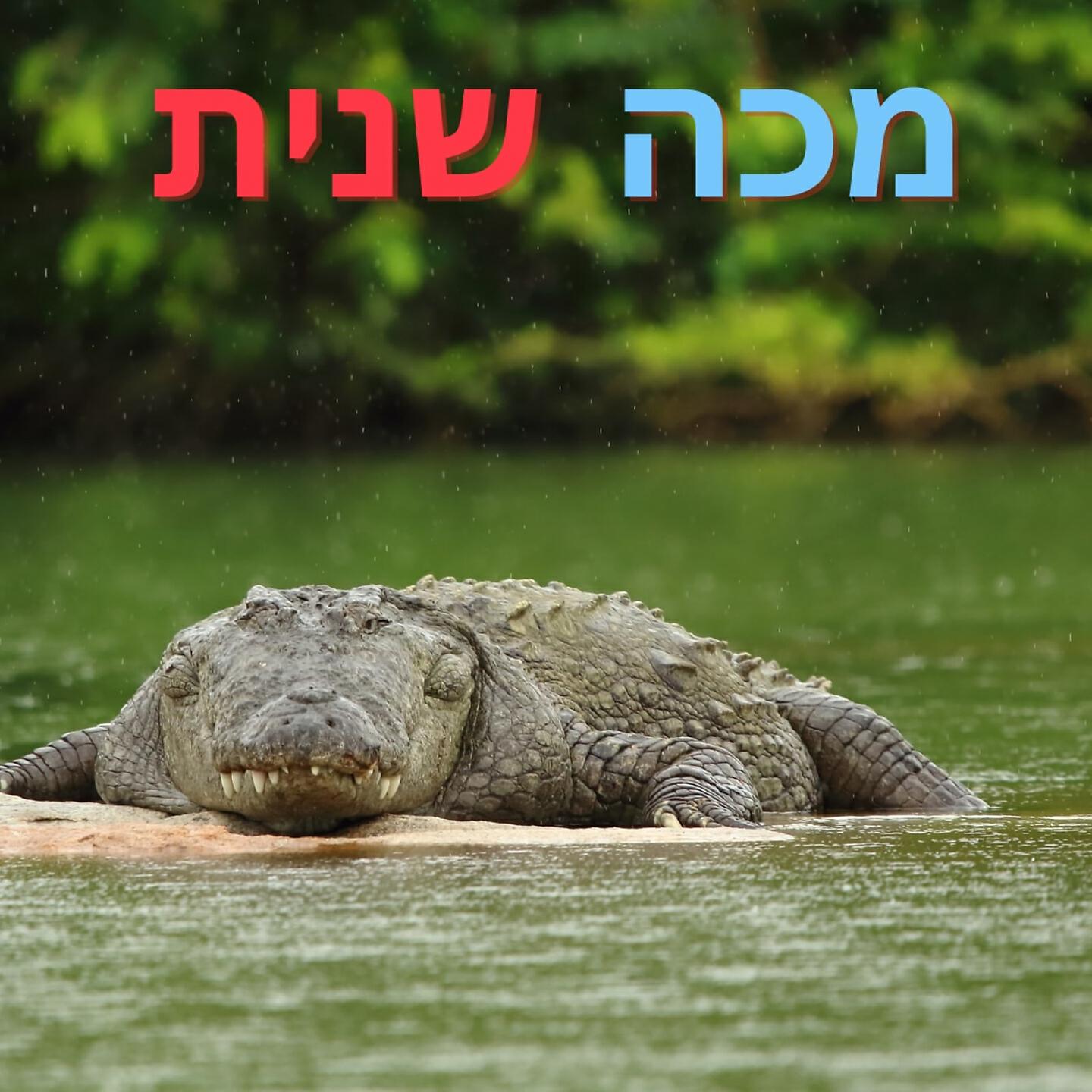Релиз מכה שנית