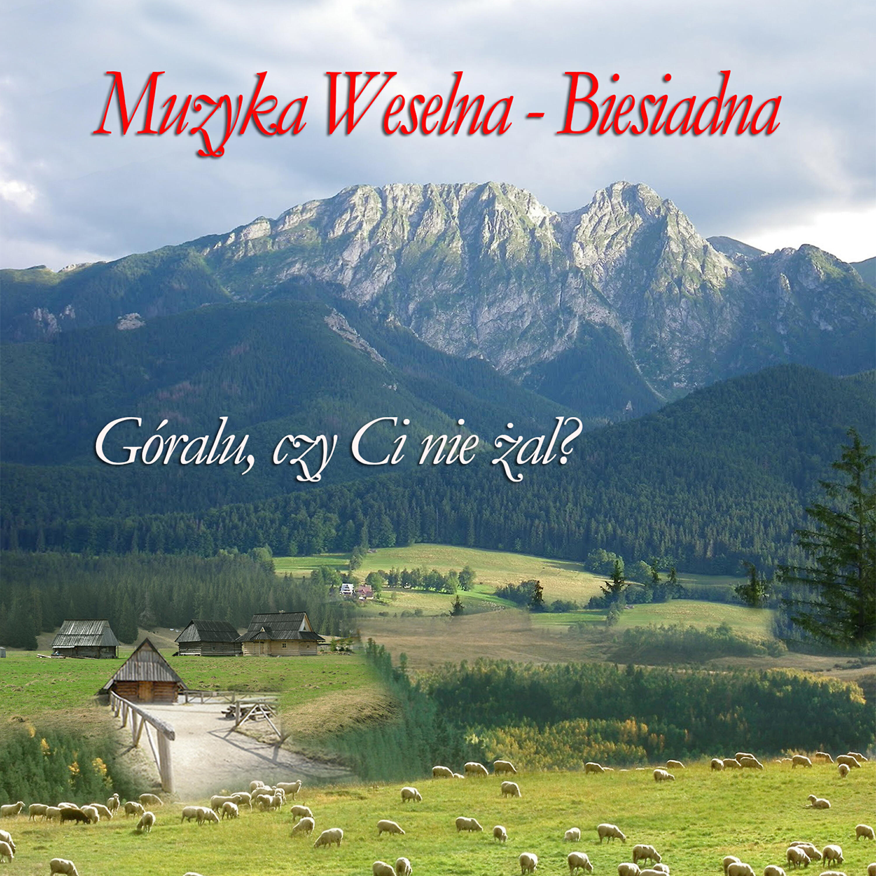 Релиз Muzyka weselna - Biesiadna Goralu, Czy Ci Nie Zal