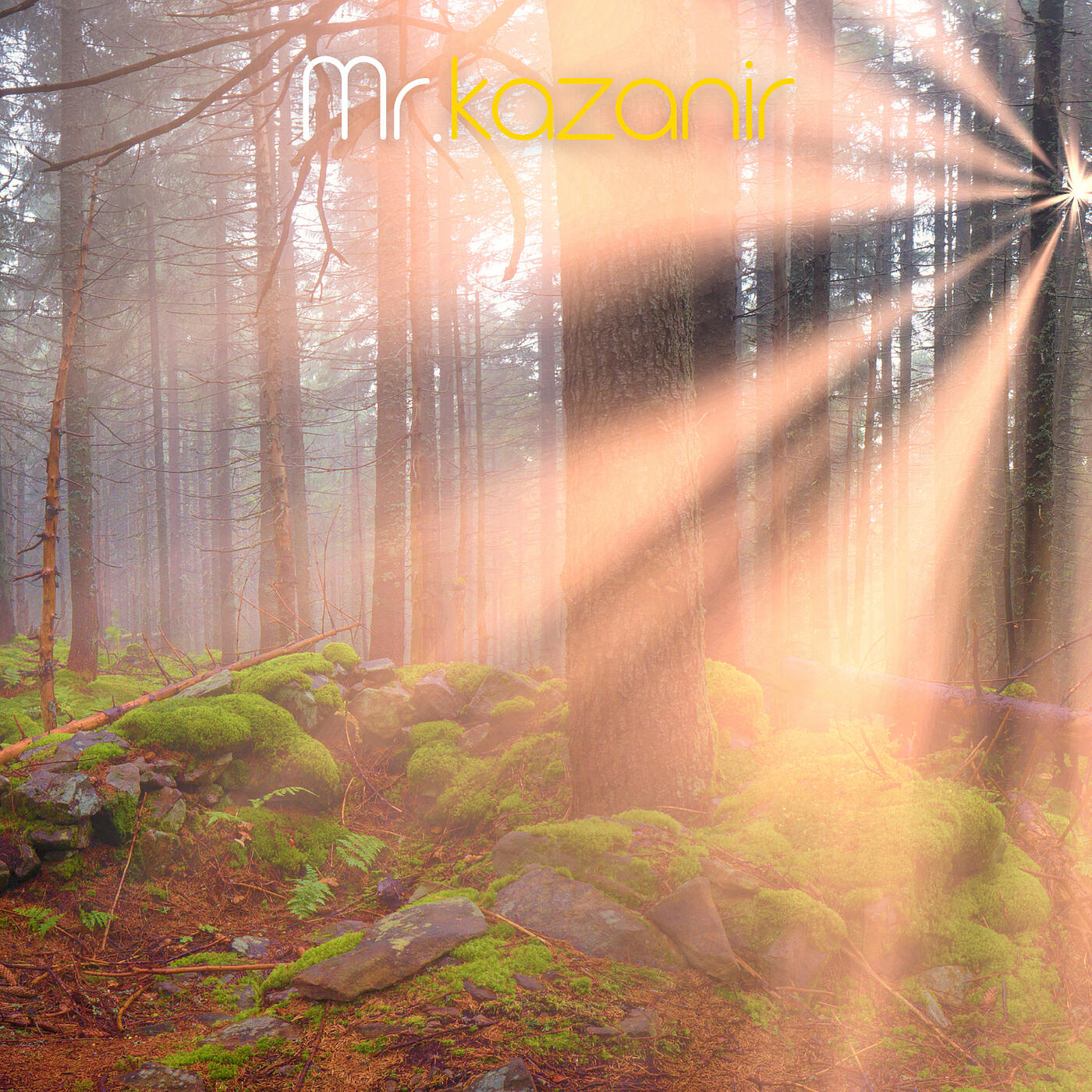 Релиз Joyful Radiance