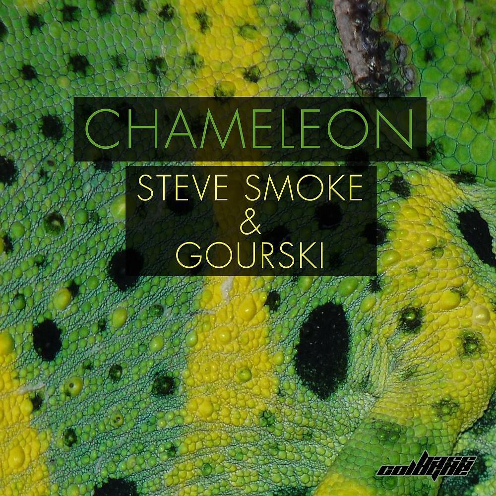 Релиз Chameleon