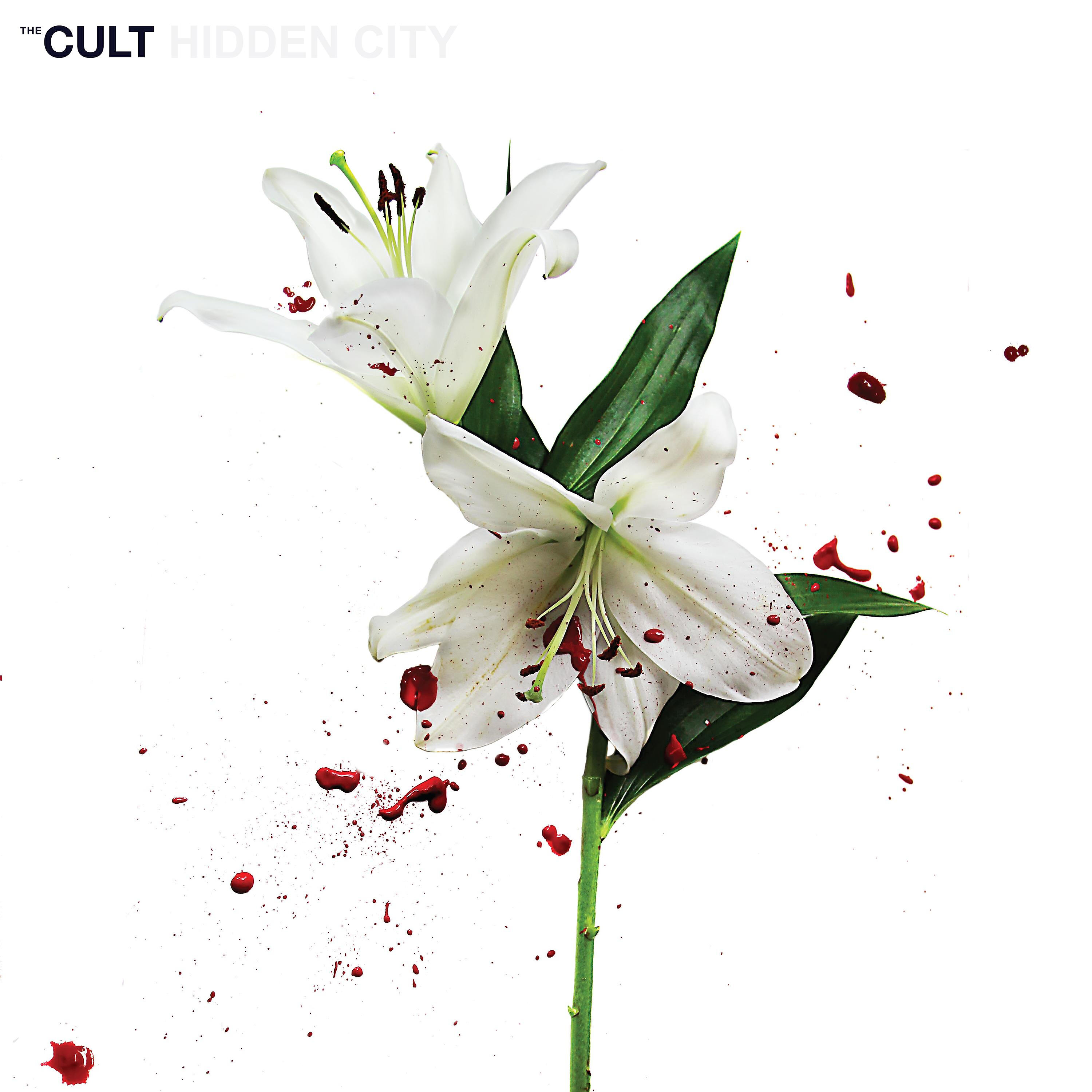 Релиз Hidden City