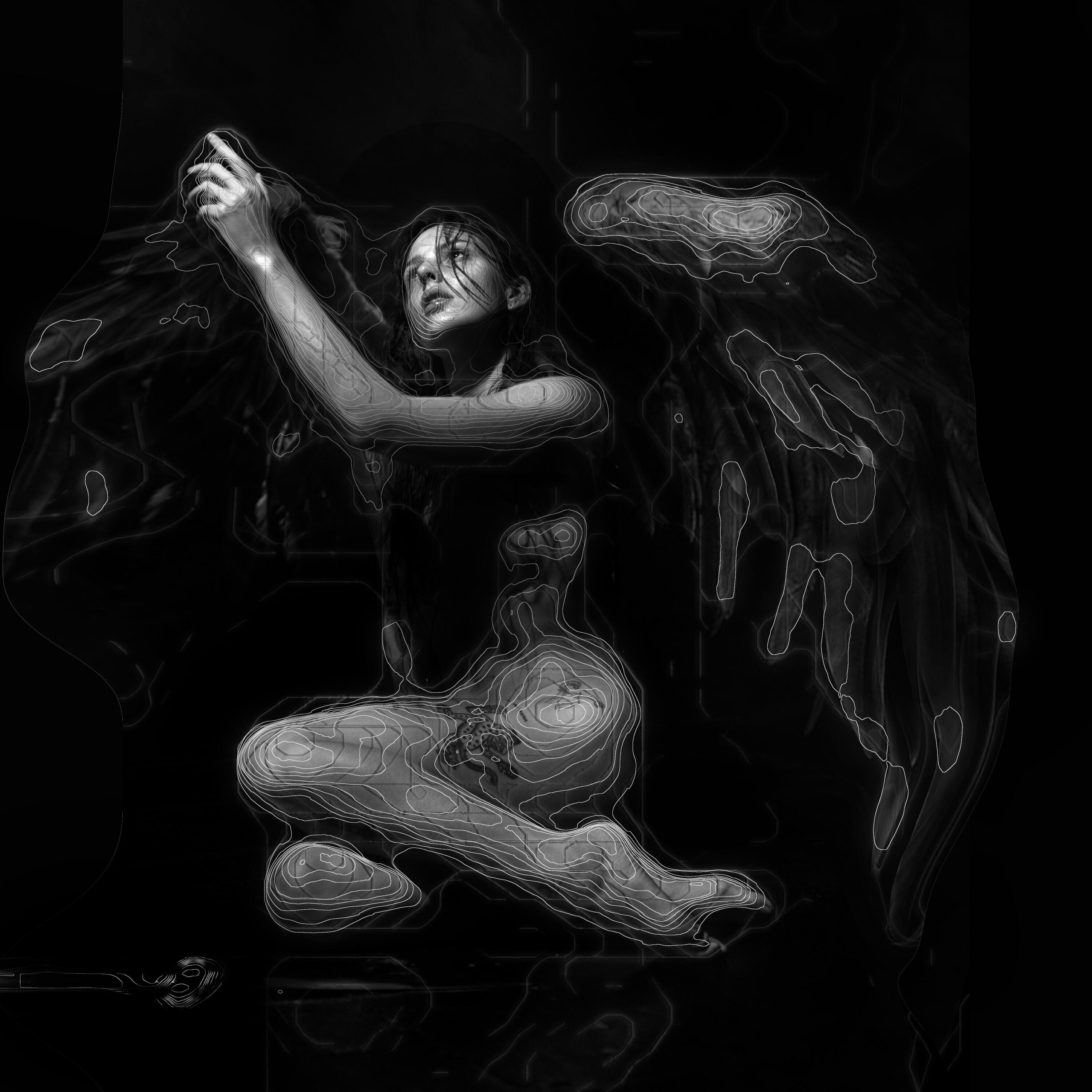 Релиз Fly