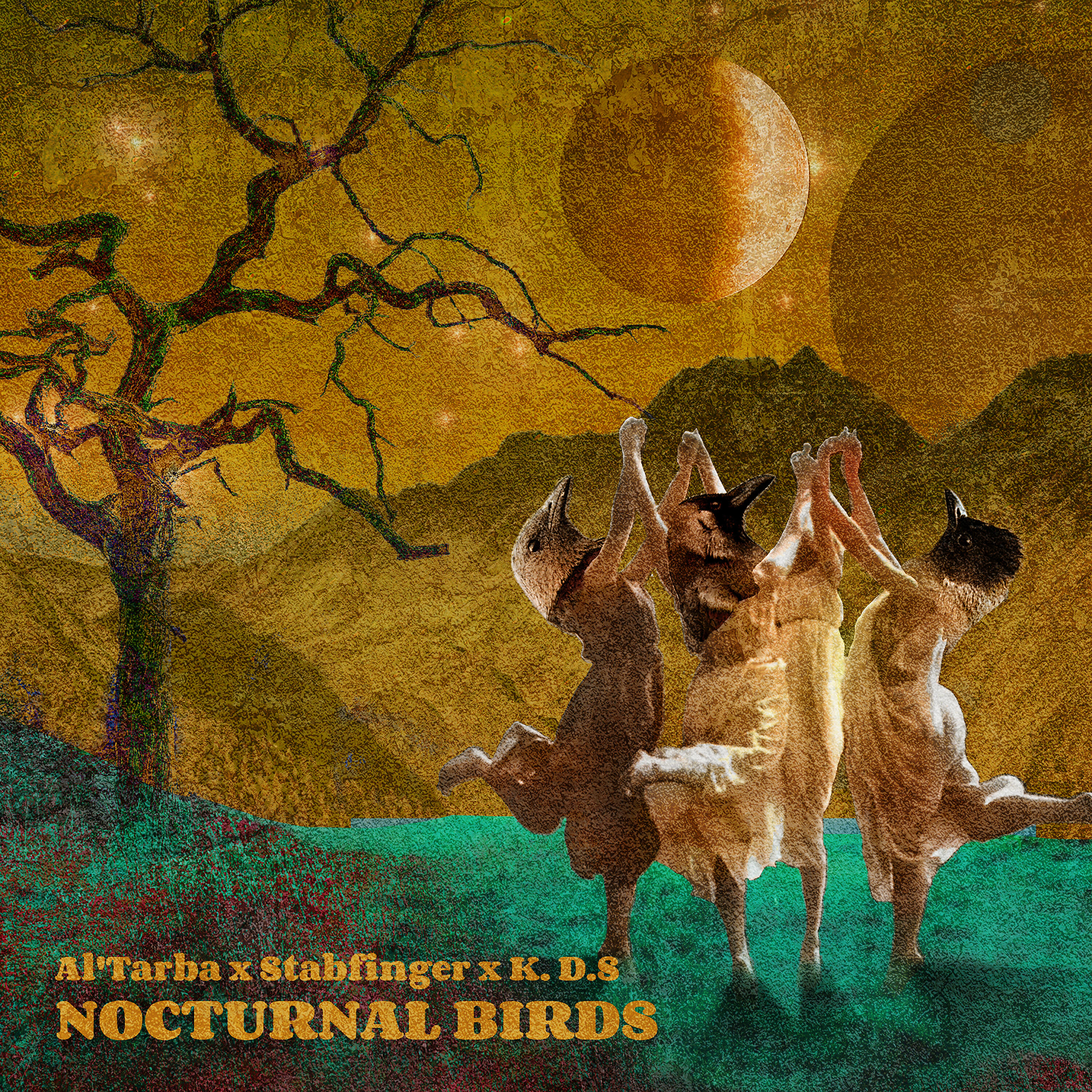 Релиз Nocturnal Birds (Cdc10) (Cdc10)