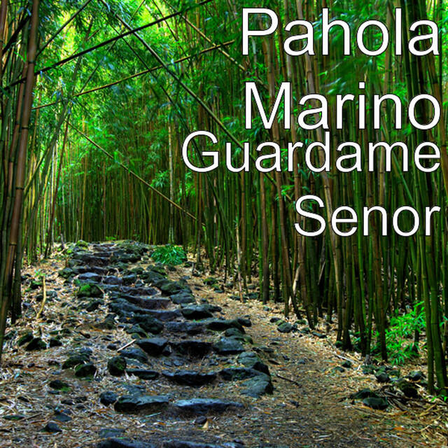 Релиз Guardame Senor