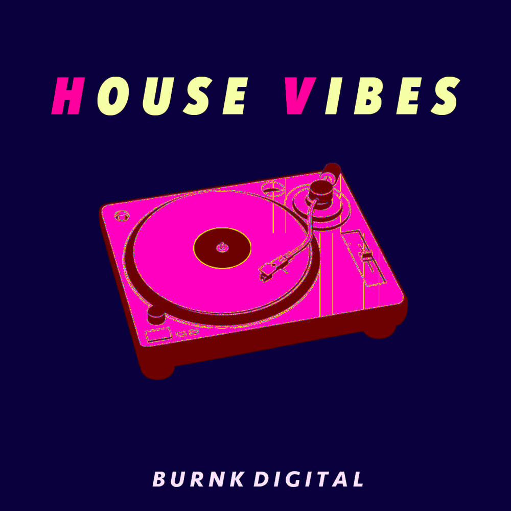 Релиз House Vibes