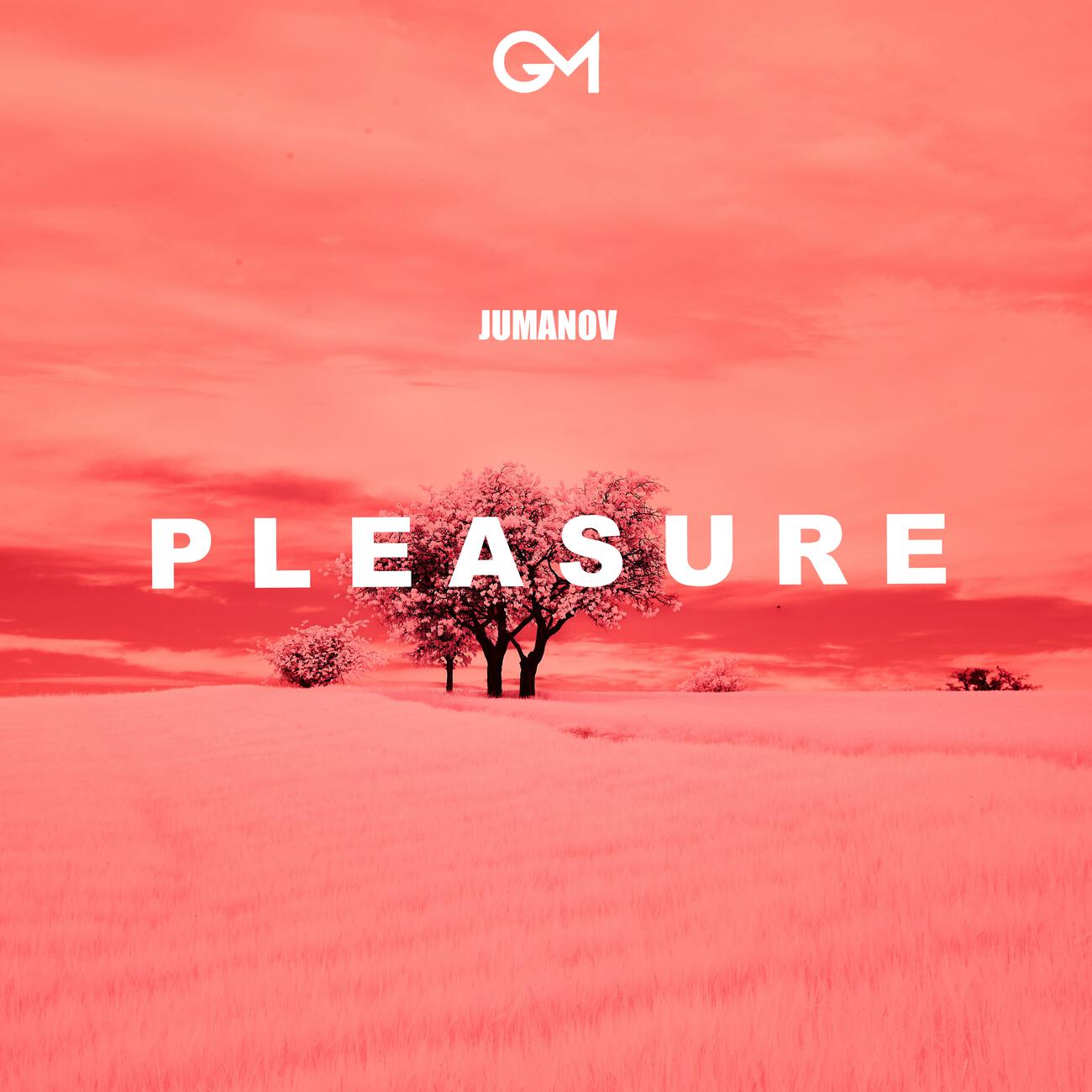 Постер альбома Pleasure