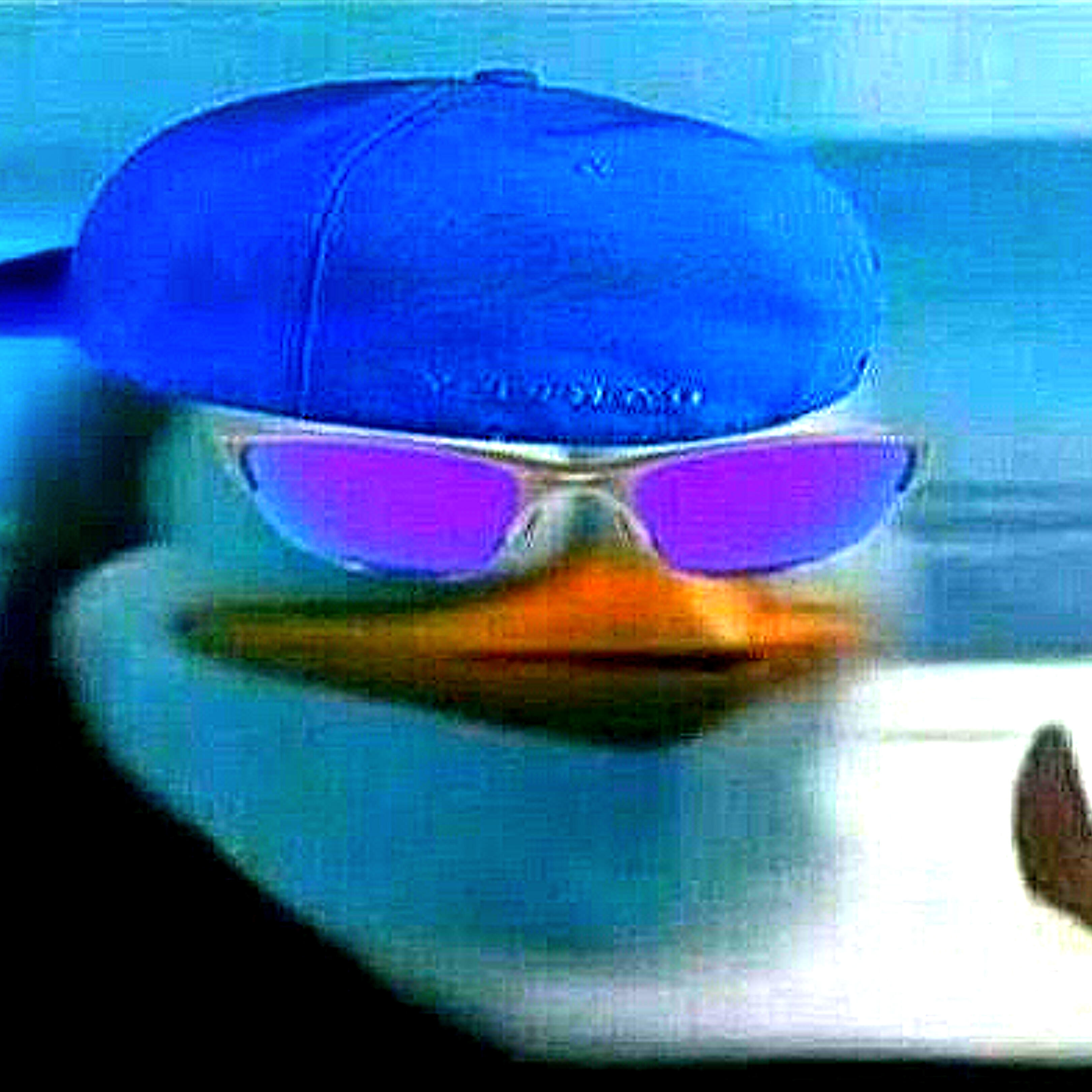 Релиз Chica Rosalita