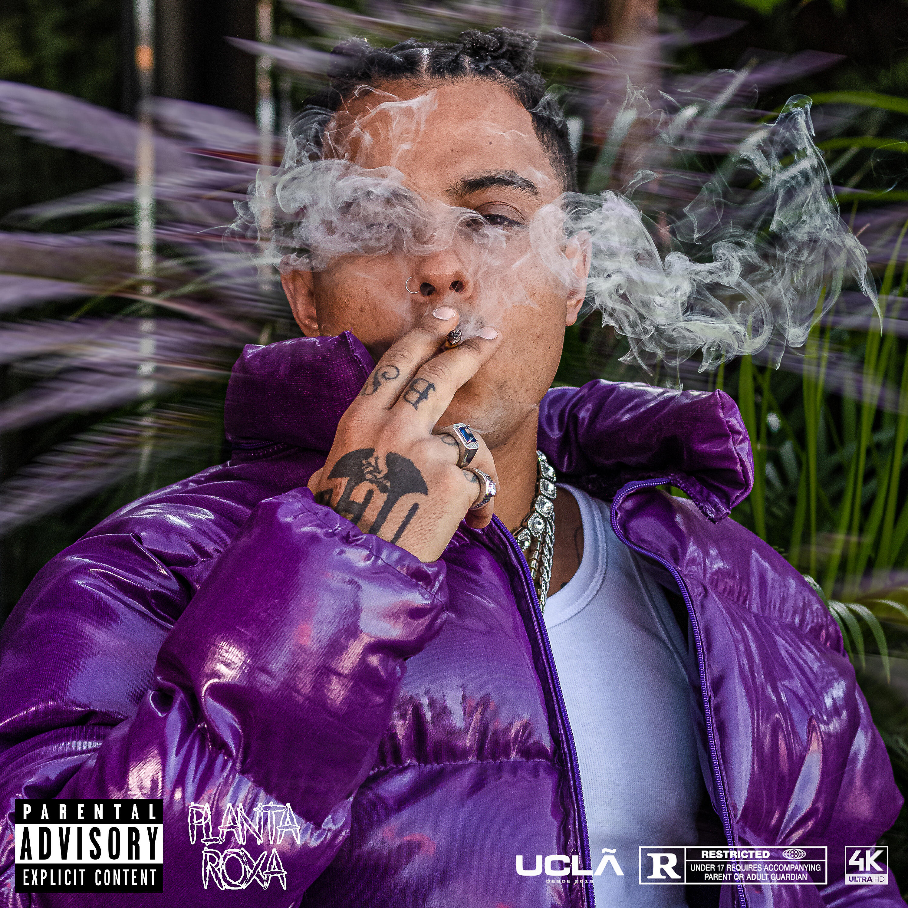 Sobs, UCLÃ - Planta Roxa