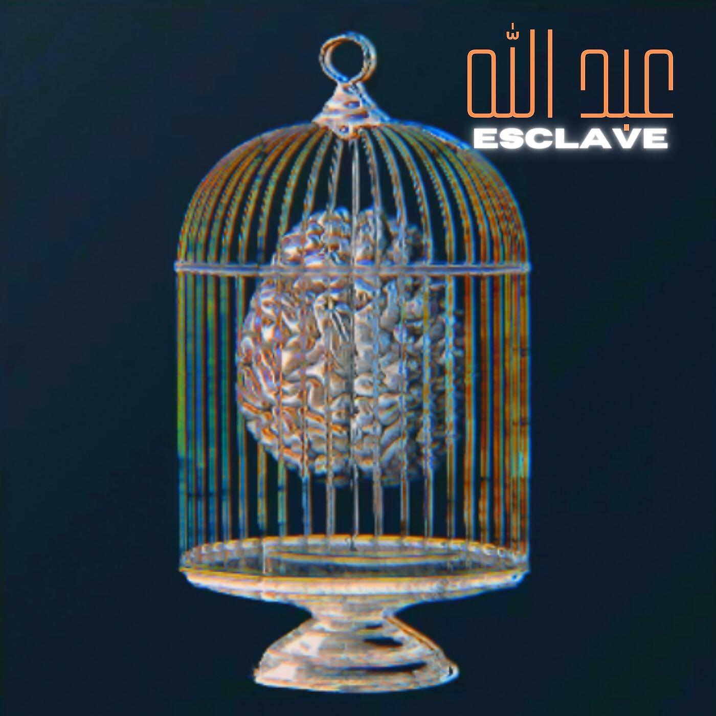 Релиз Esclave