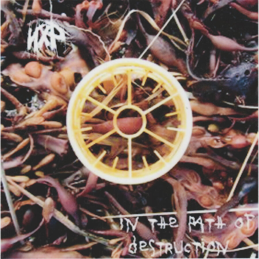 Релиз In the Path of Destruction