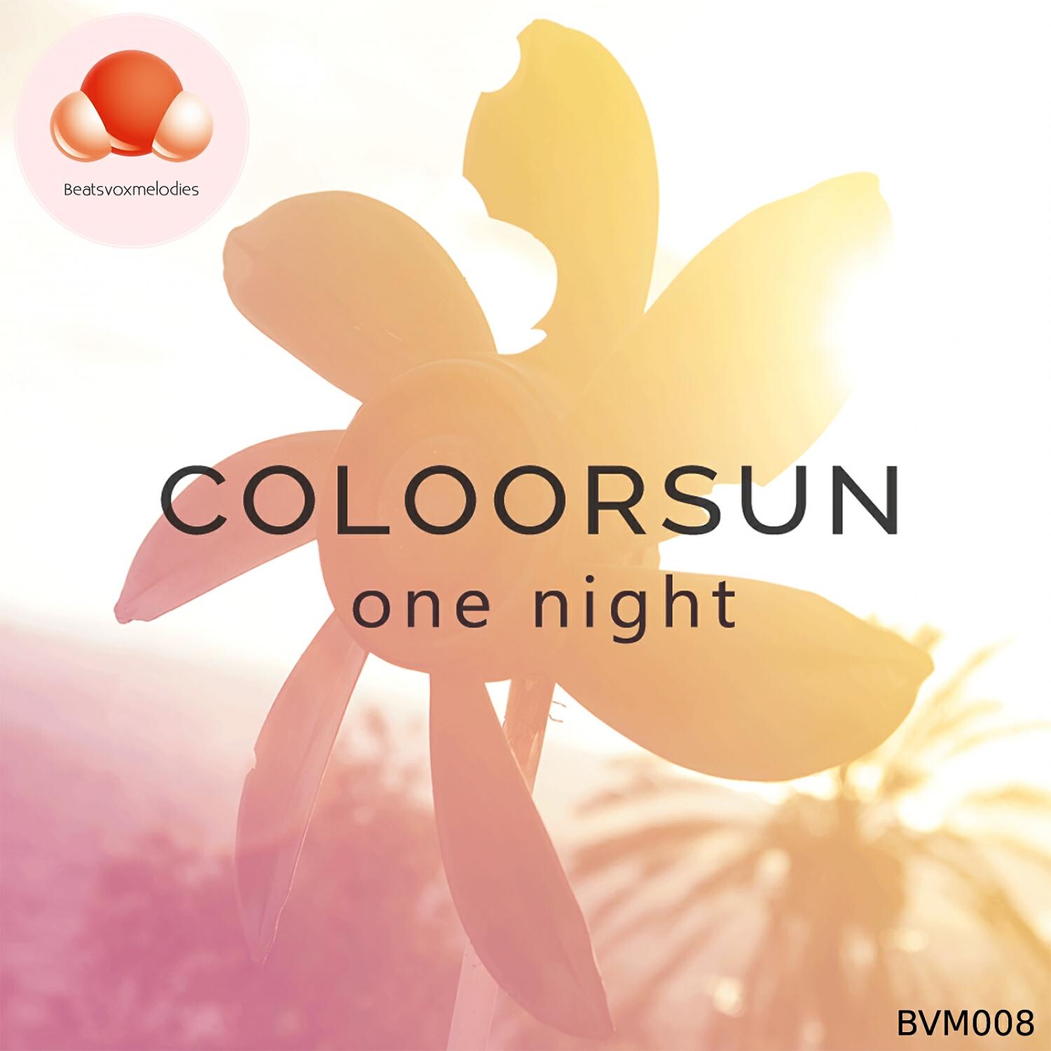 Релиз One Night